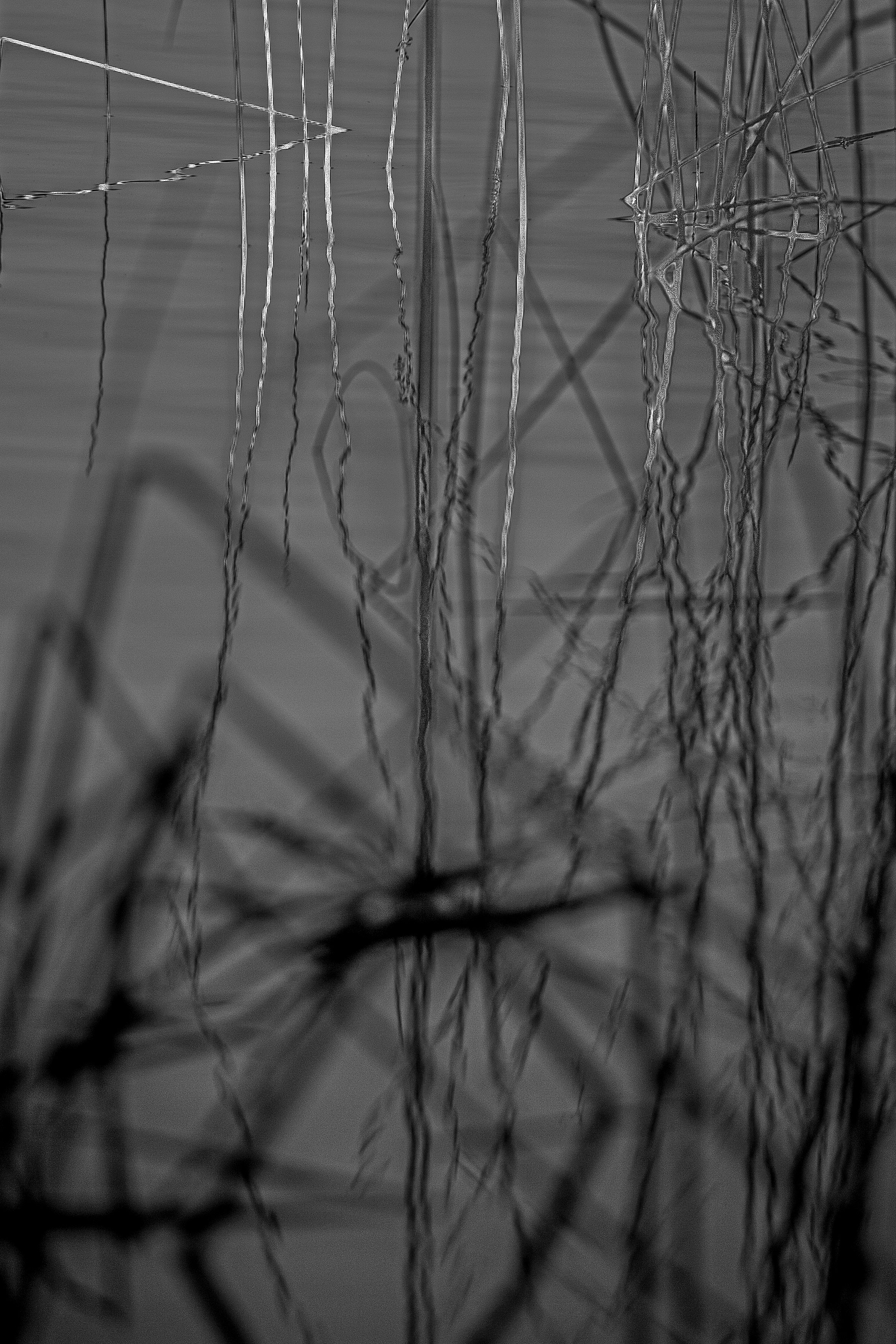 StillWater4 copy.jpg