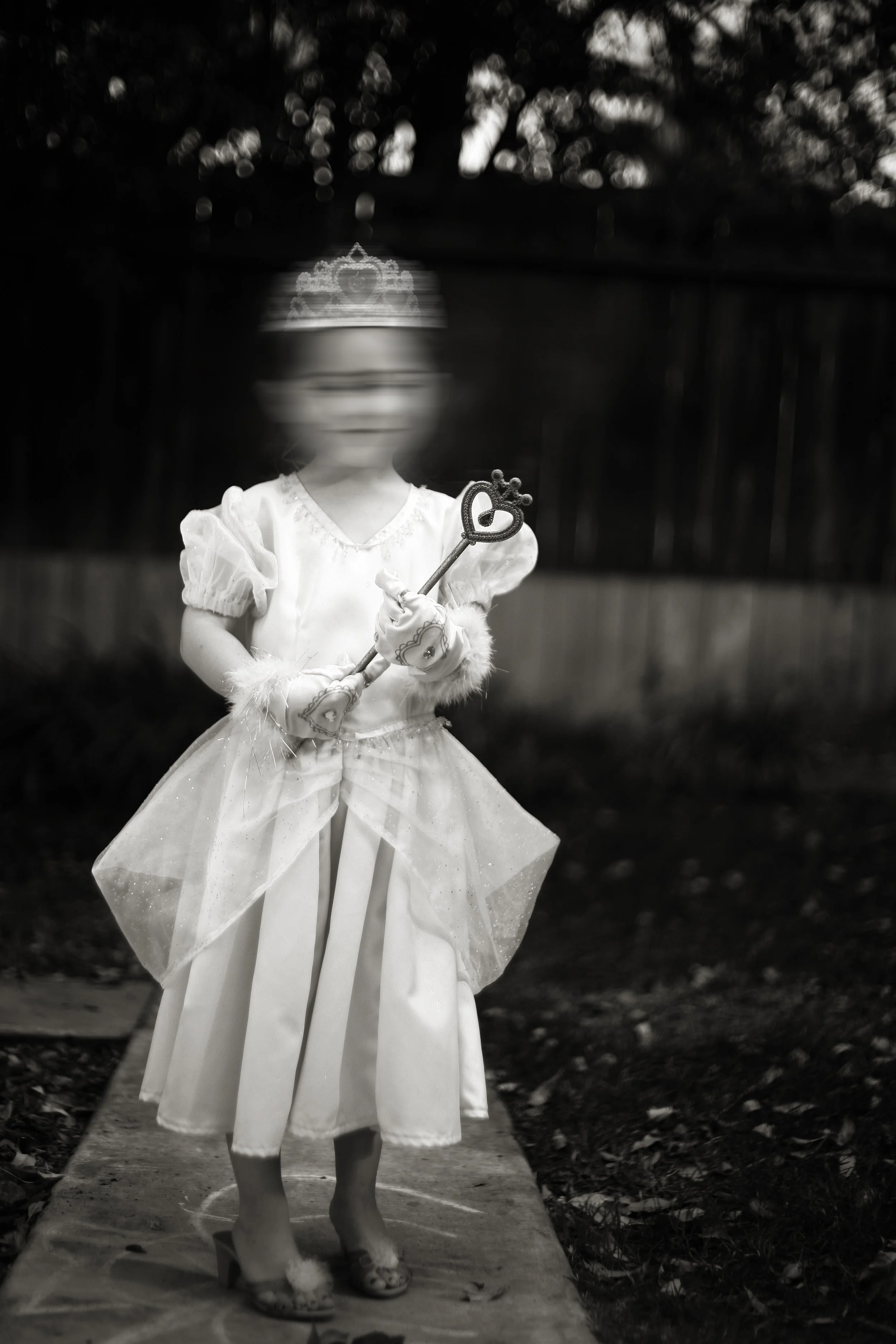 FairyPrincess copy.jpg