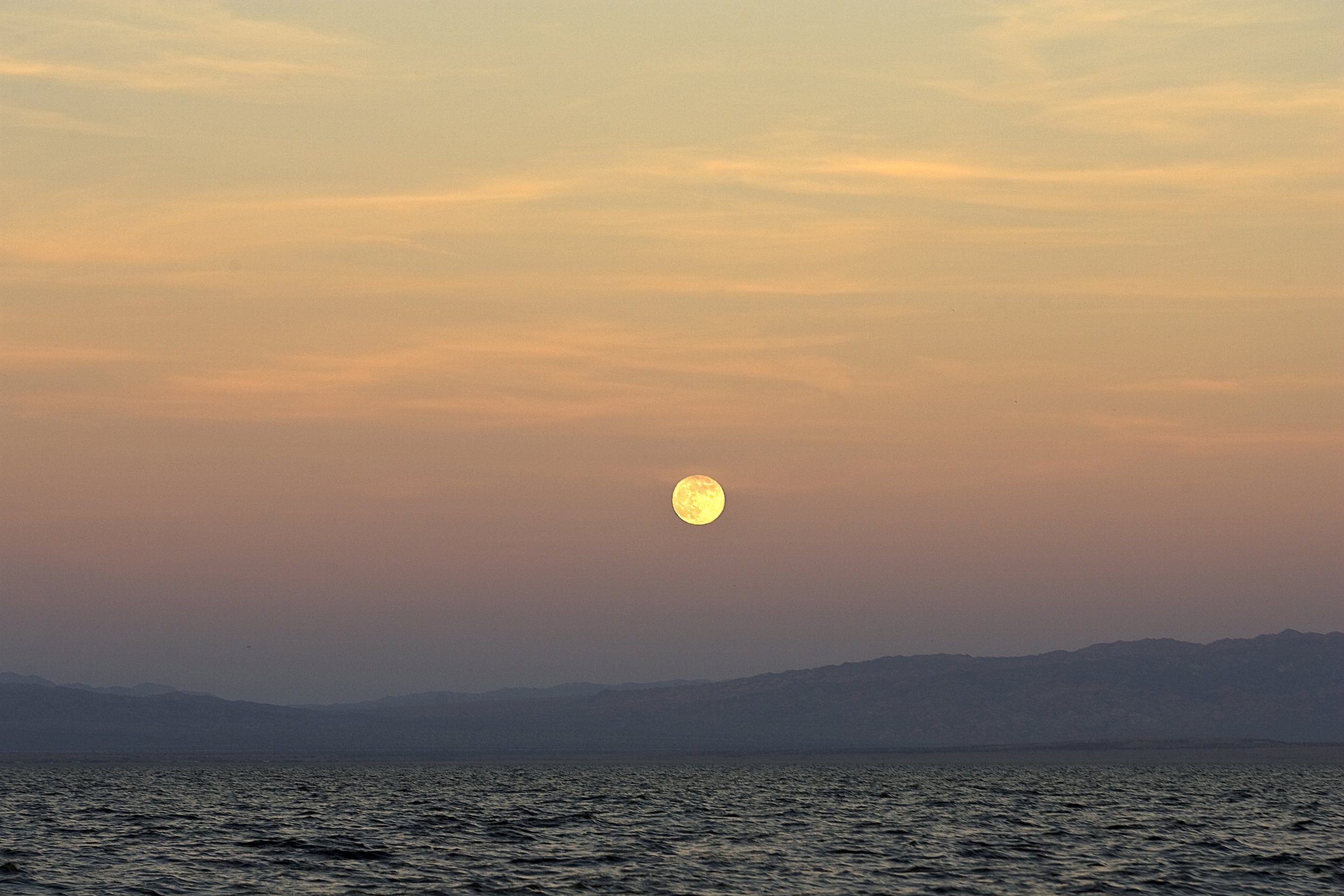 moonrise01.jpg