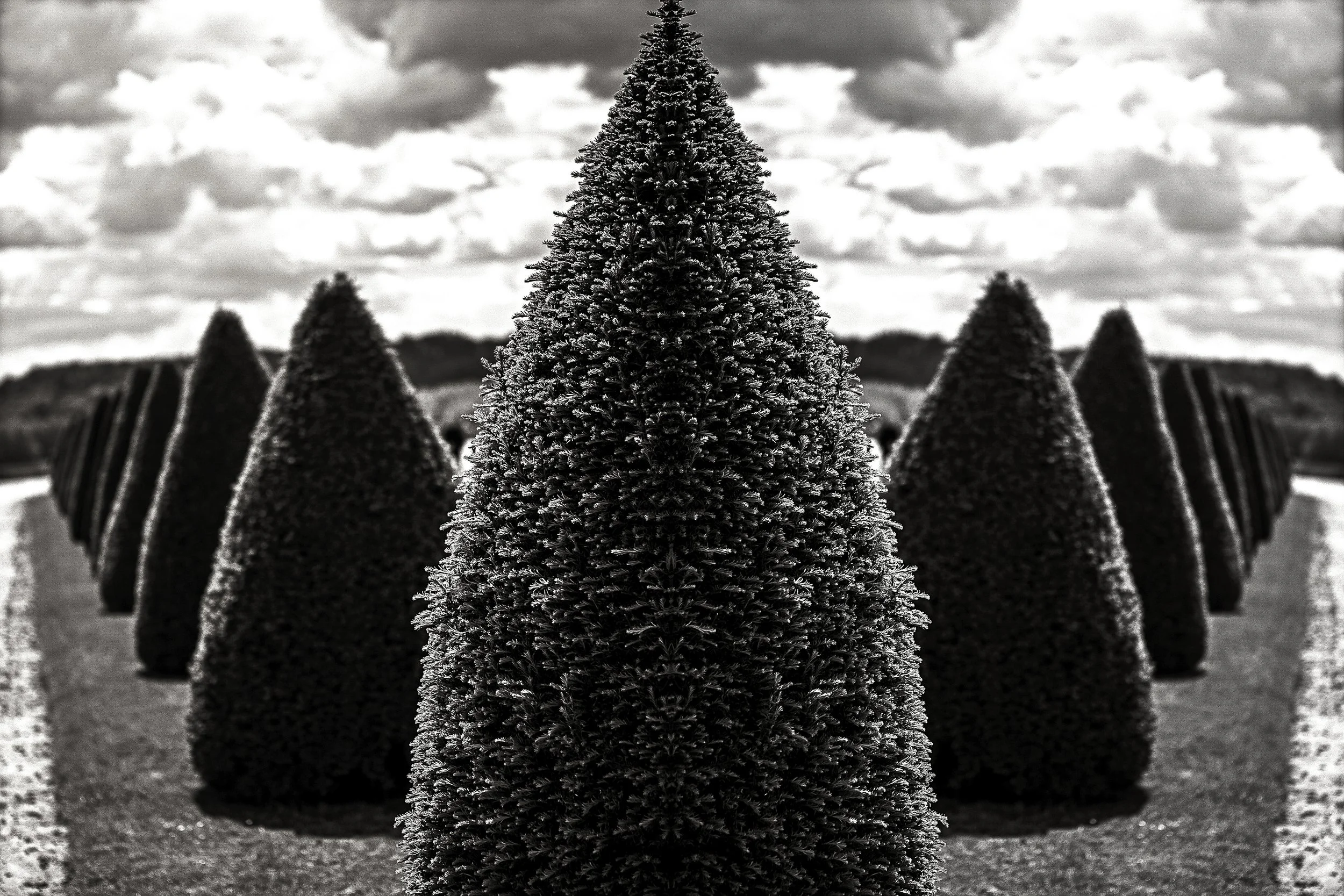 versailles copy 2.jpg
