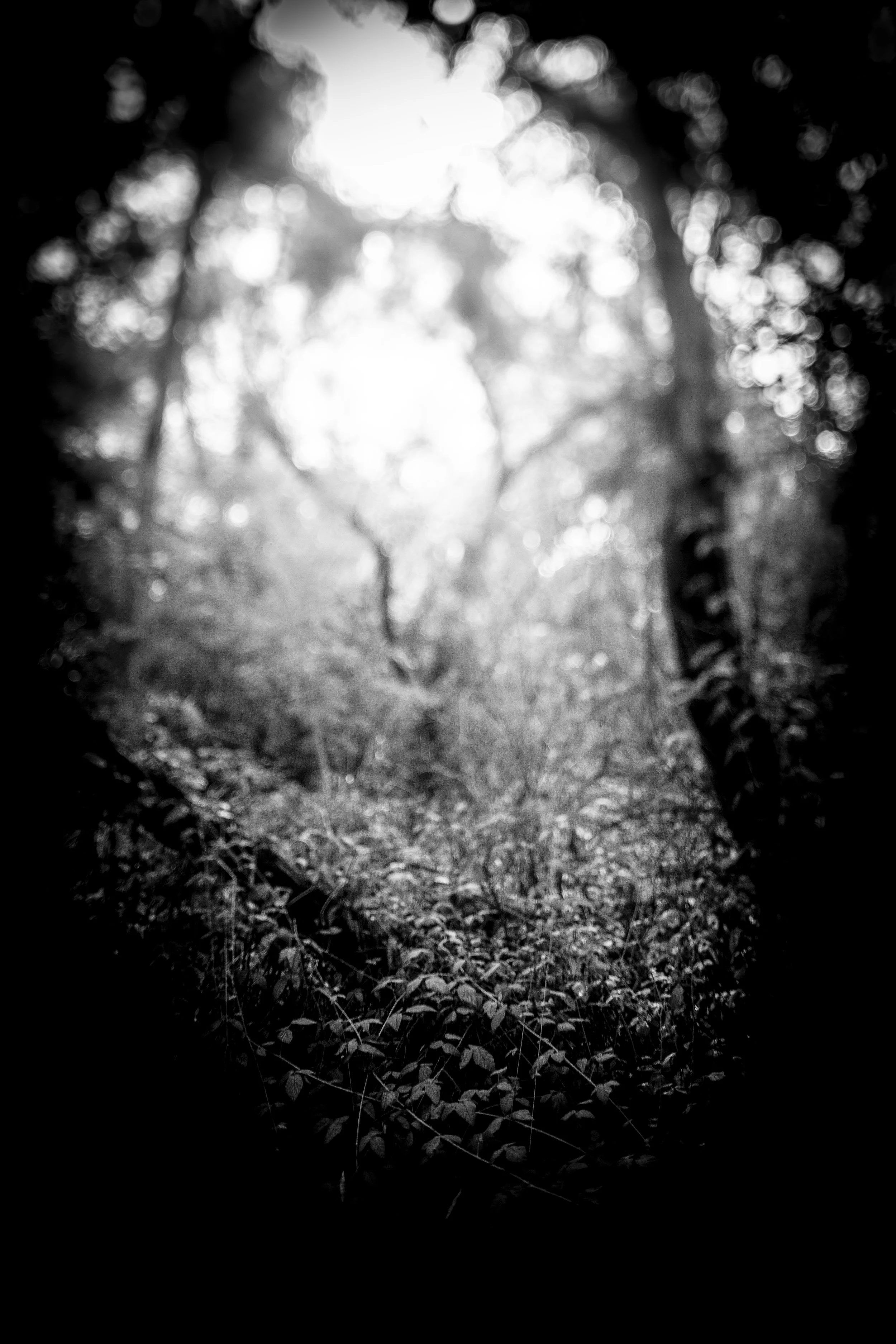 DarkTunnel5 copy.jpg