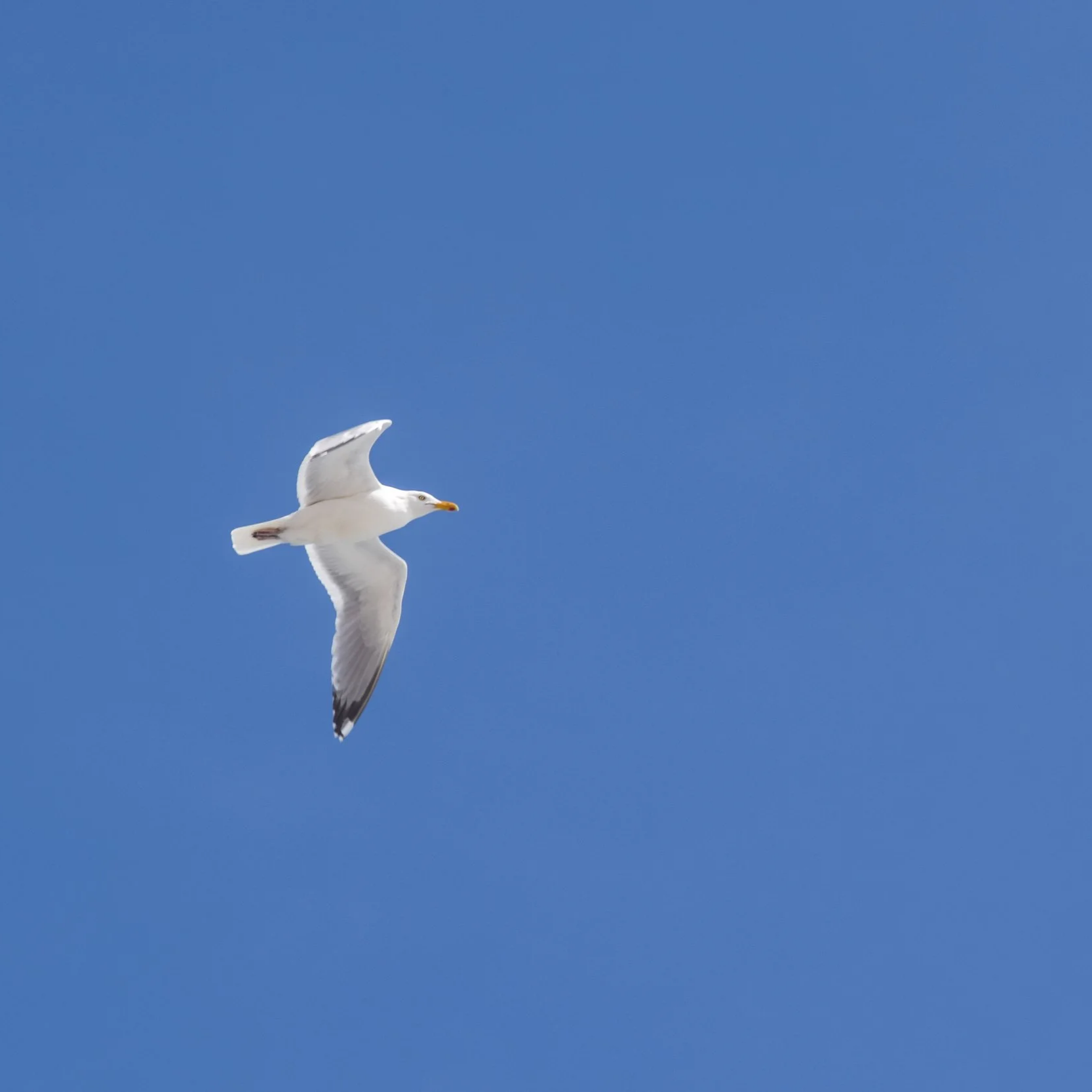 DSC_0708.png