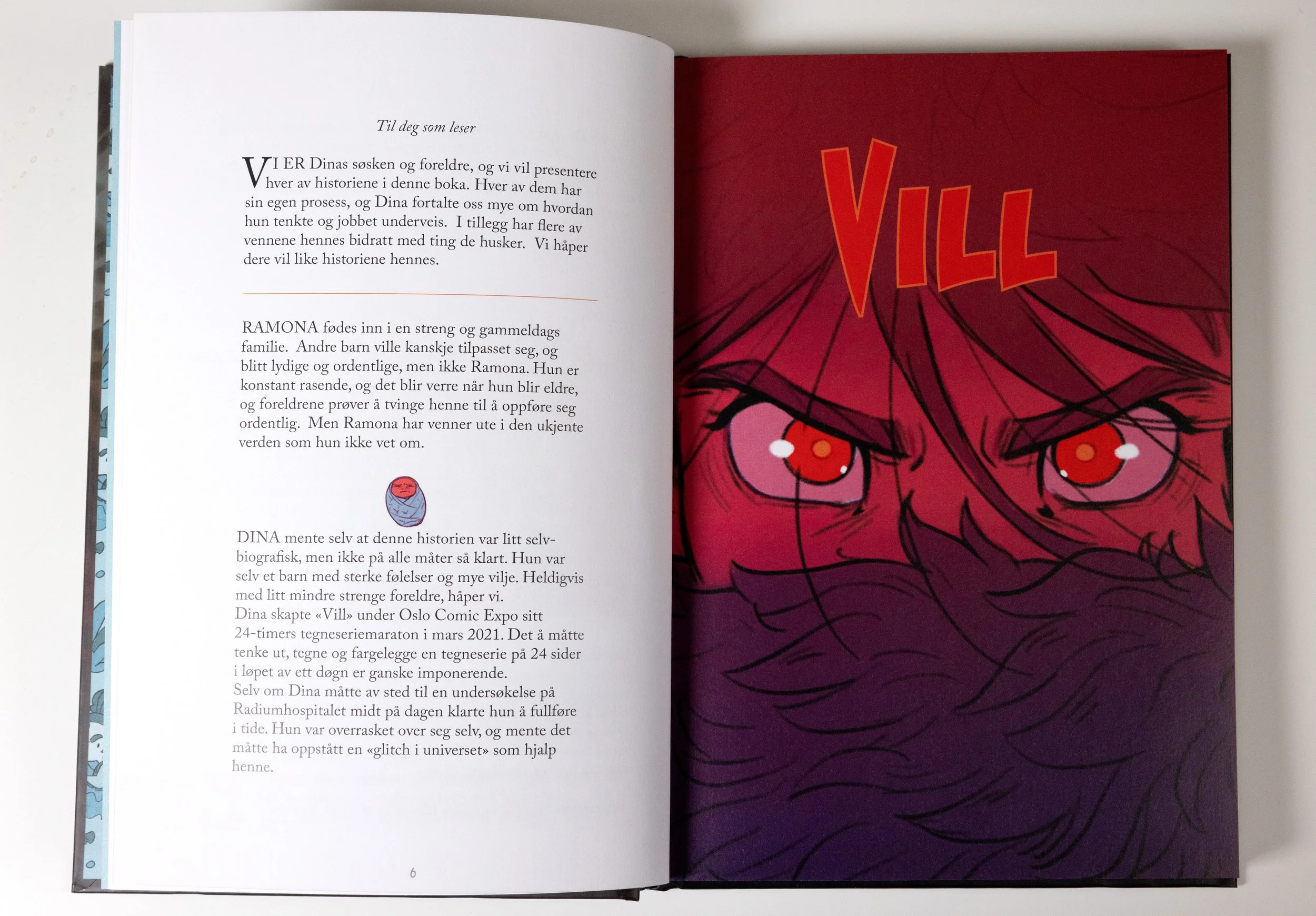 Vill innside 1.jpg