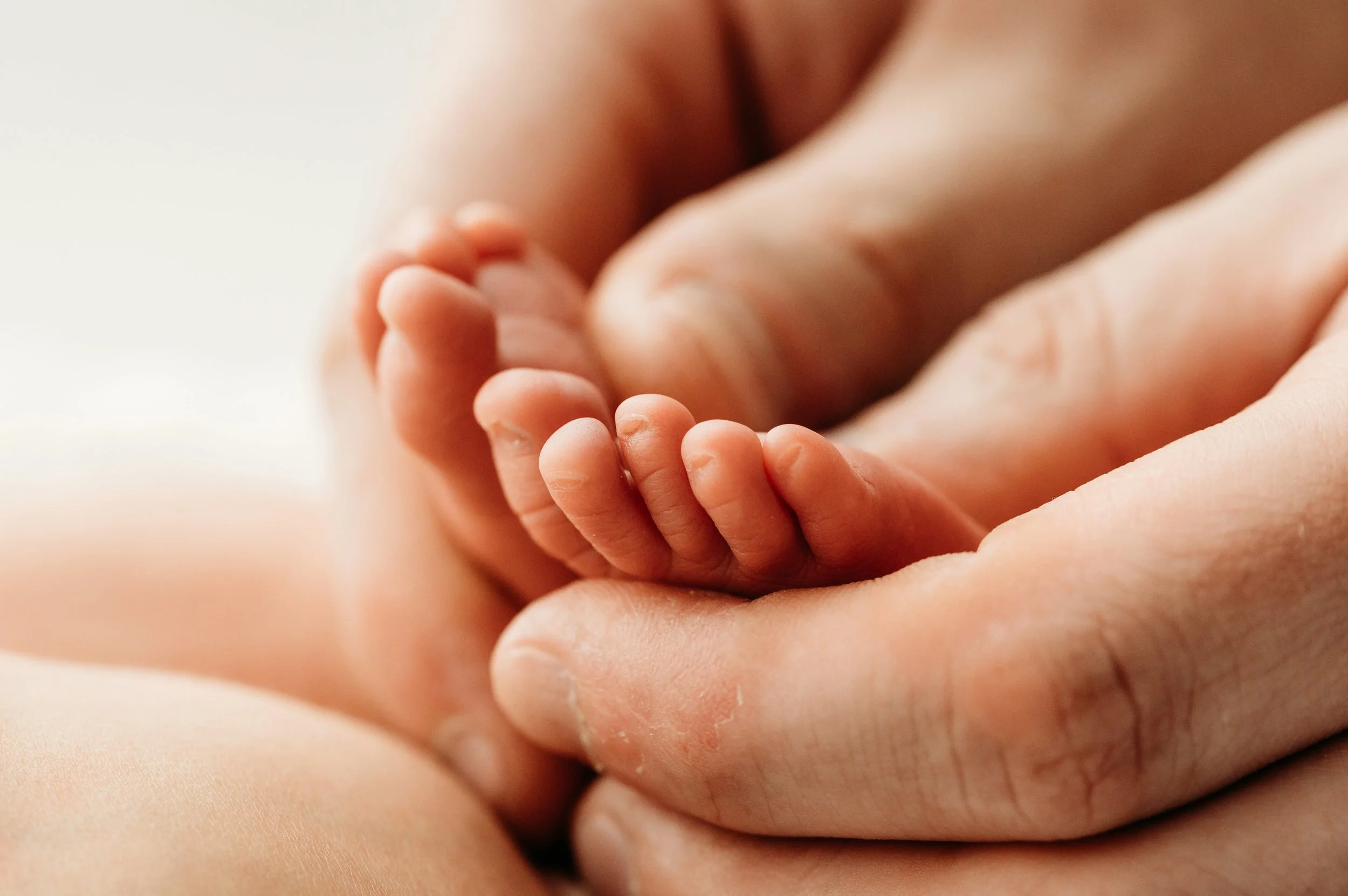 newborn baby detail shots near Nashville, TN