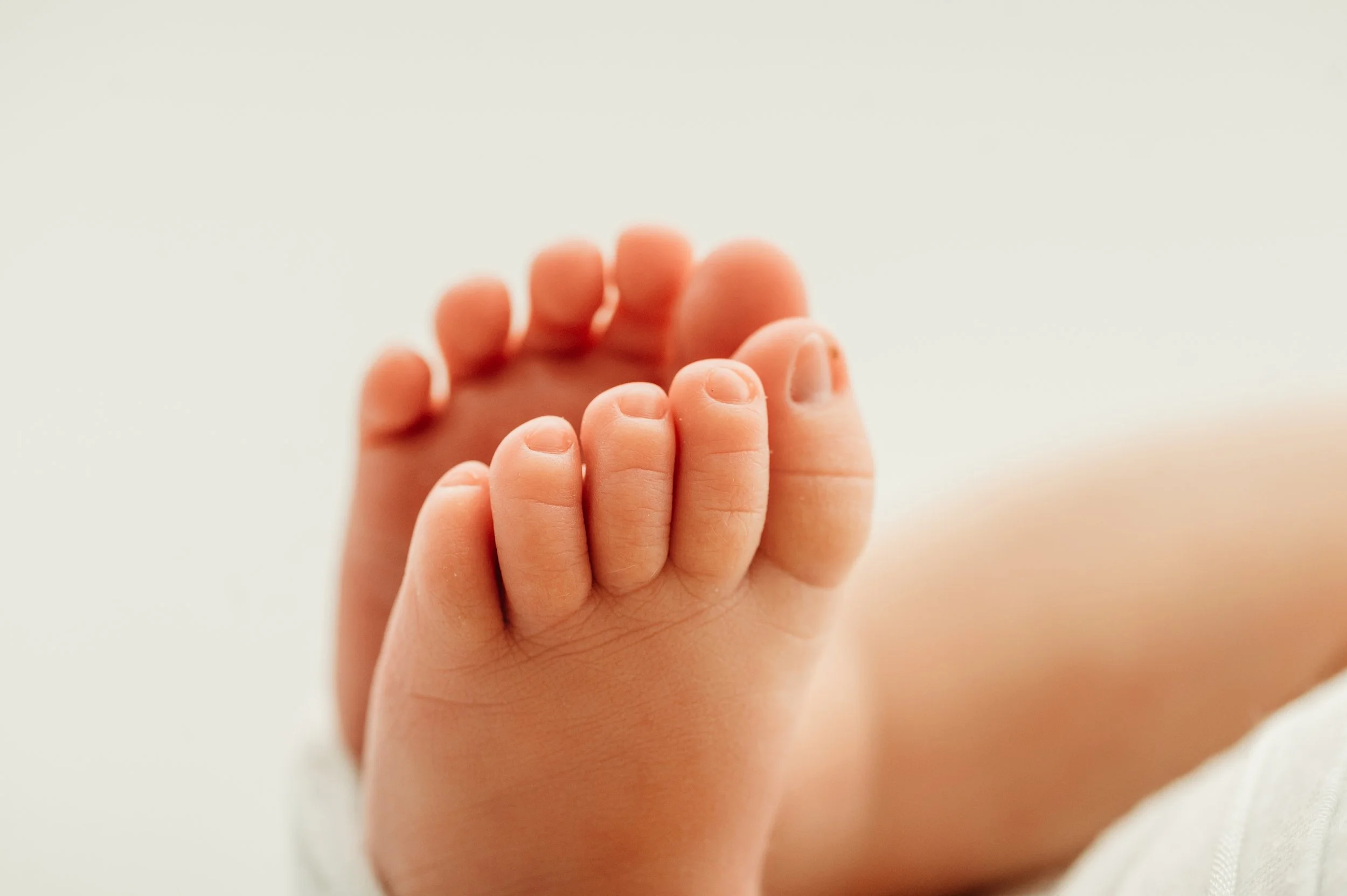 detail shot of newborn baby feet by a clarksville, tn newborn photographer