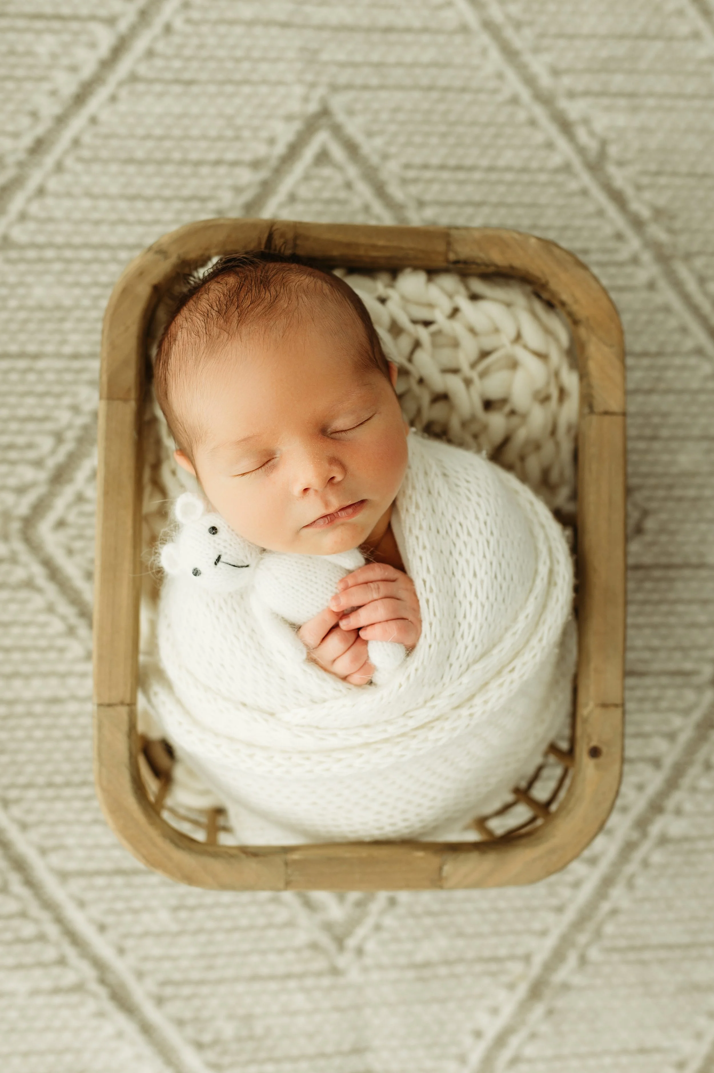 newborn baby boy with a white teddy bear in a nashville, tn photographer studio