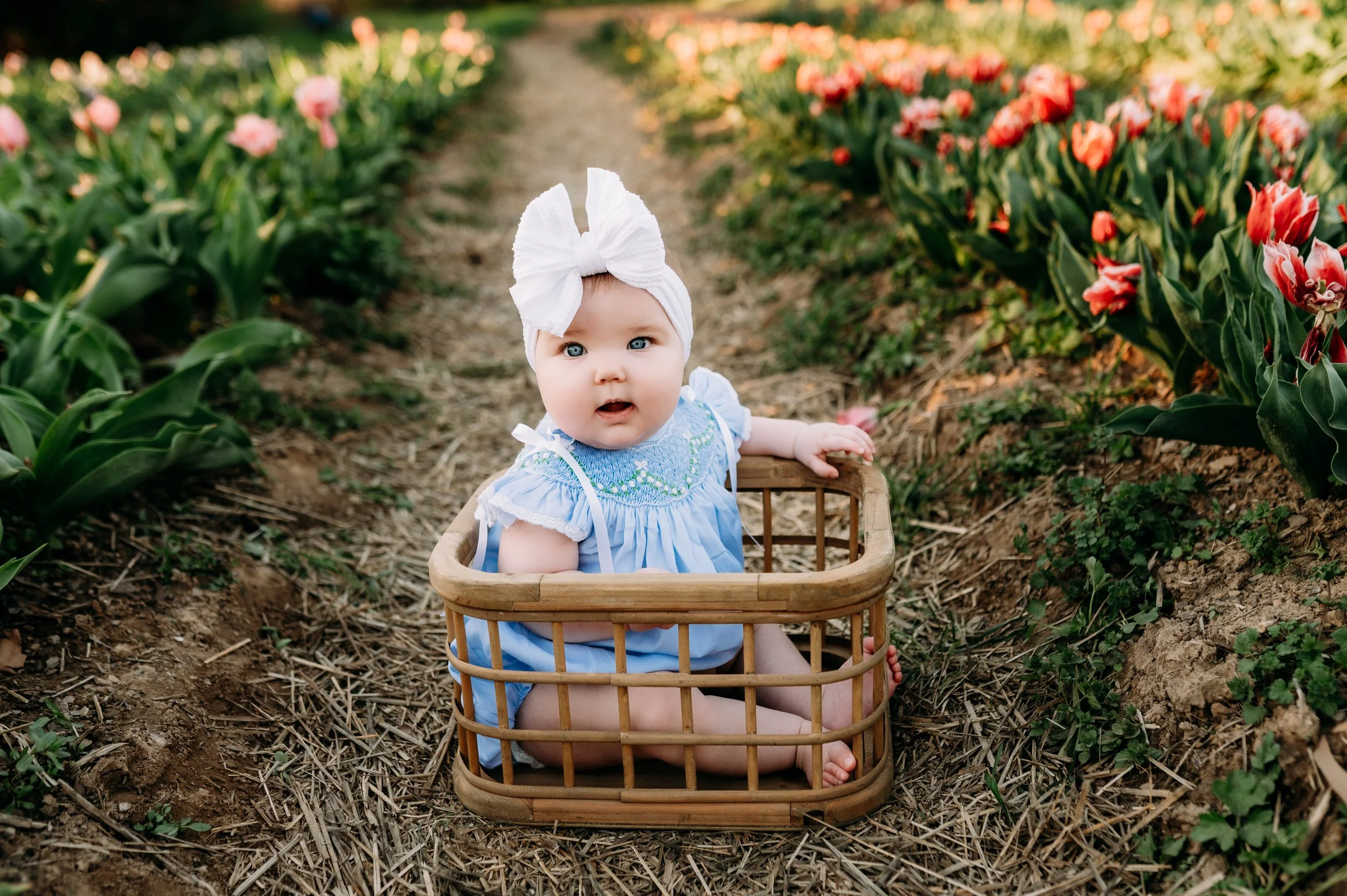 outdoor family session with flowers in Kingston Spring, TN