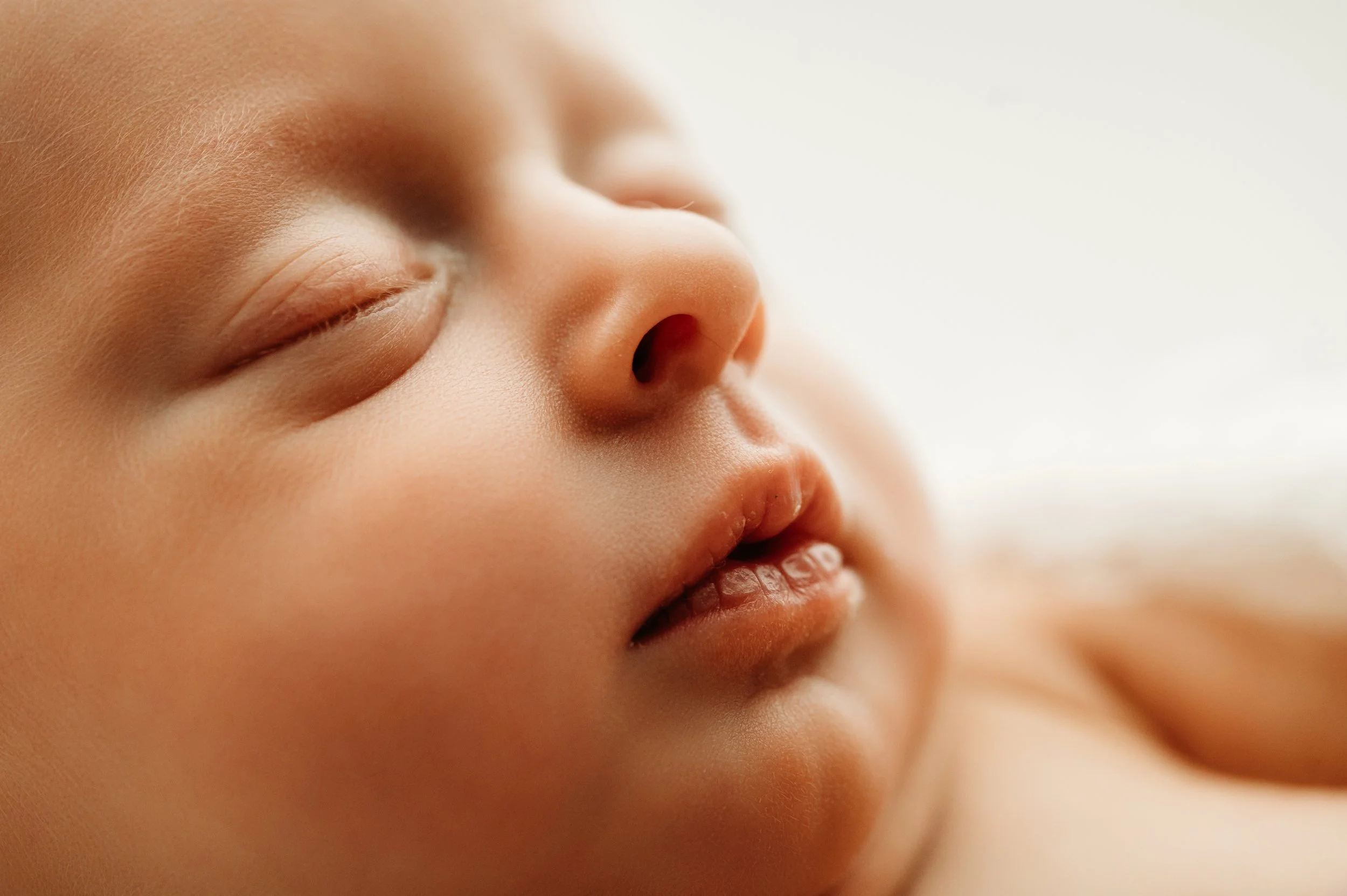 Nashville, TN newborn detail shots