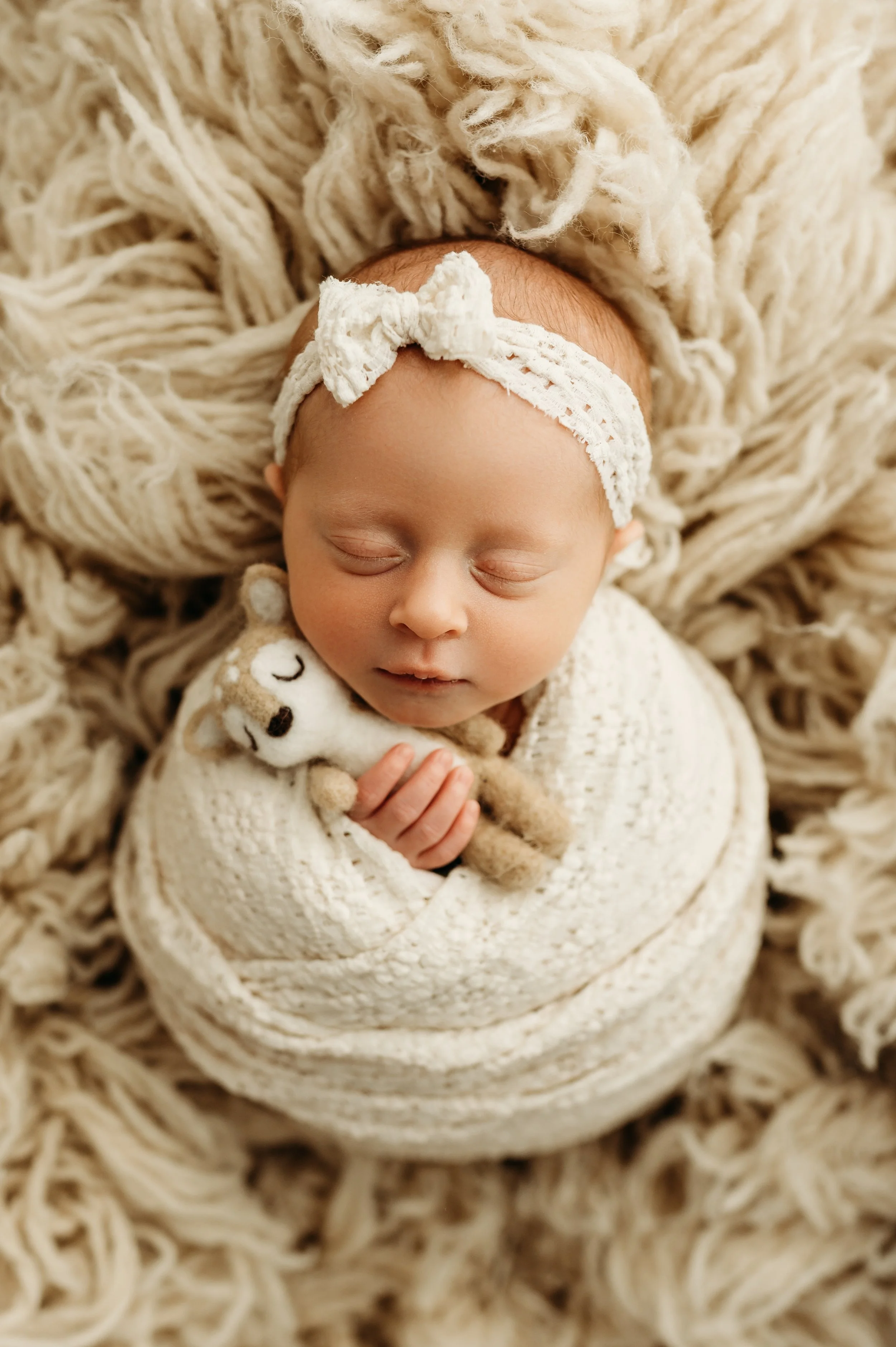 newborn girl holding stuffy photo session in Ashland City, TN near nashville
