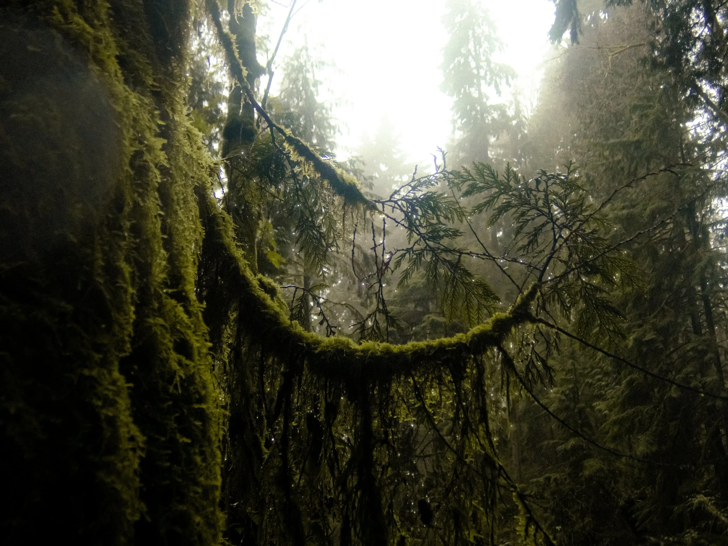 03-25 north vancouver