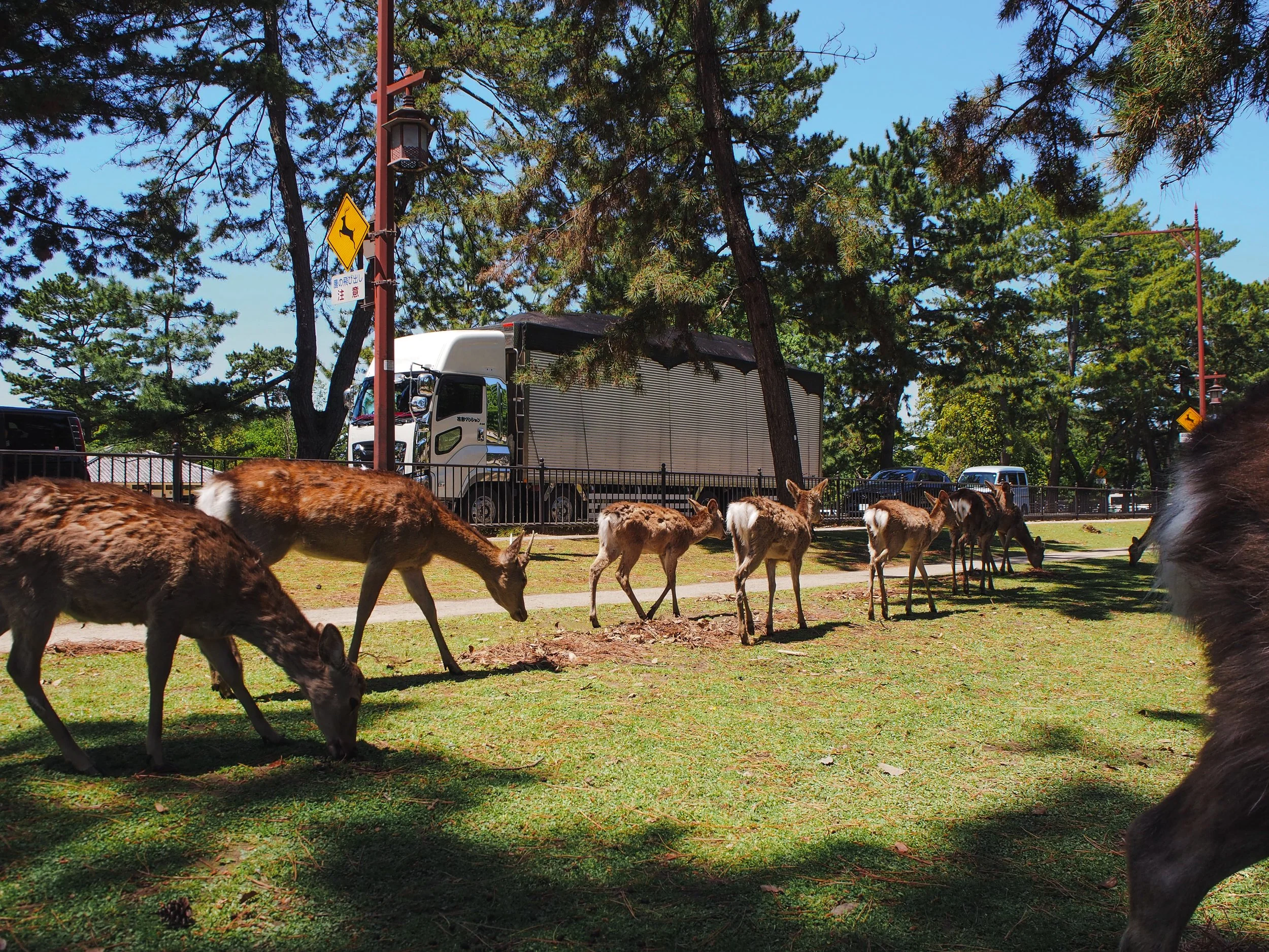 05-26 nara