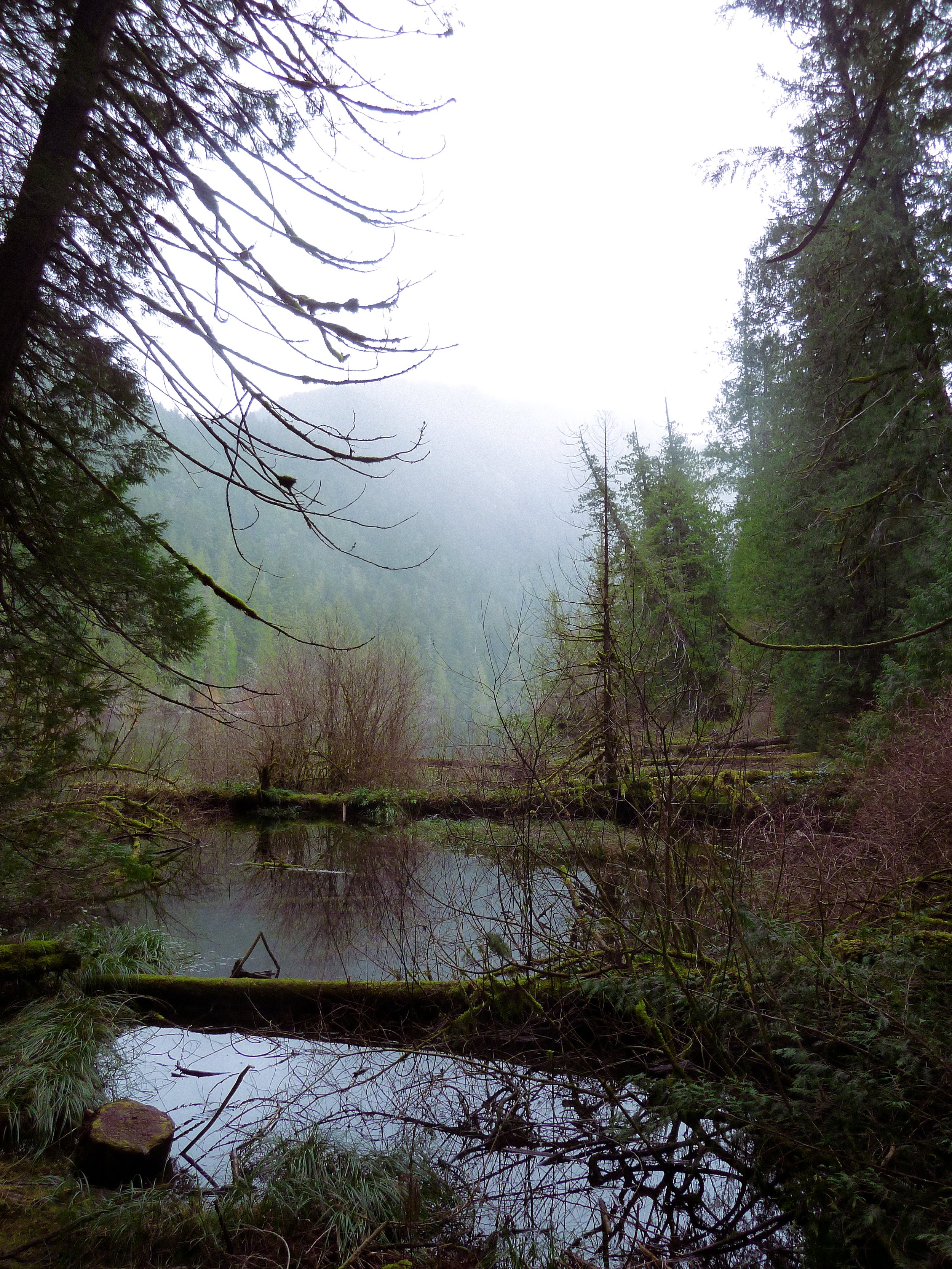 03-25

vancouver island