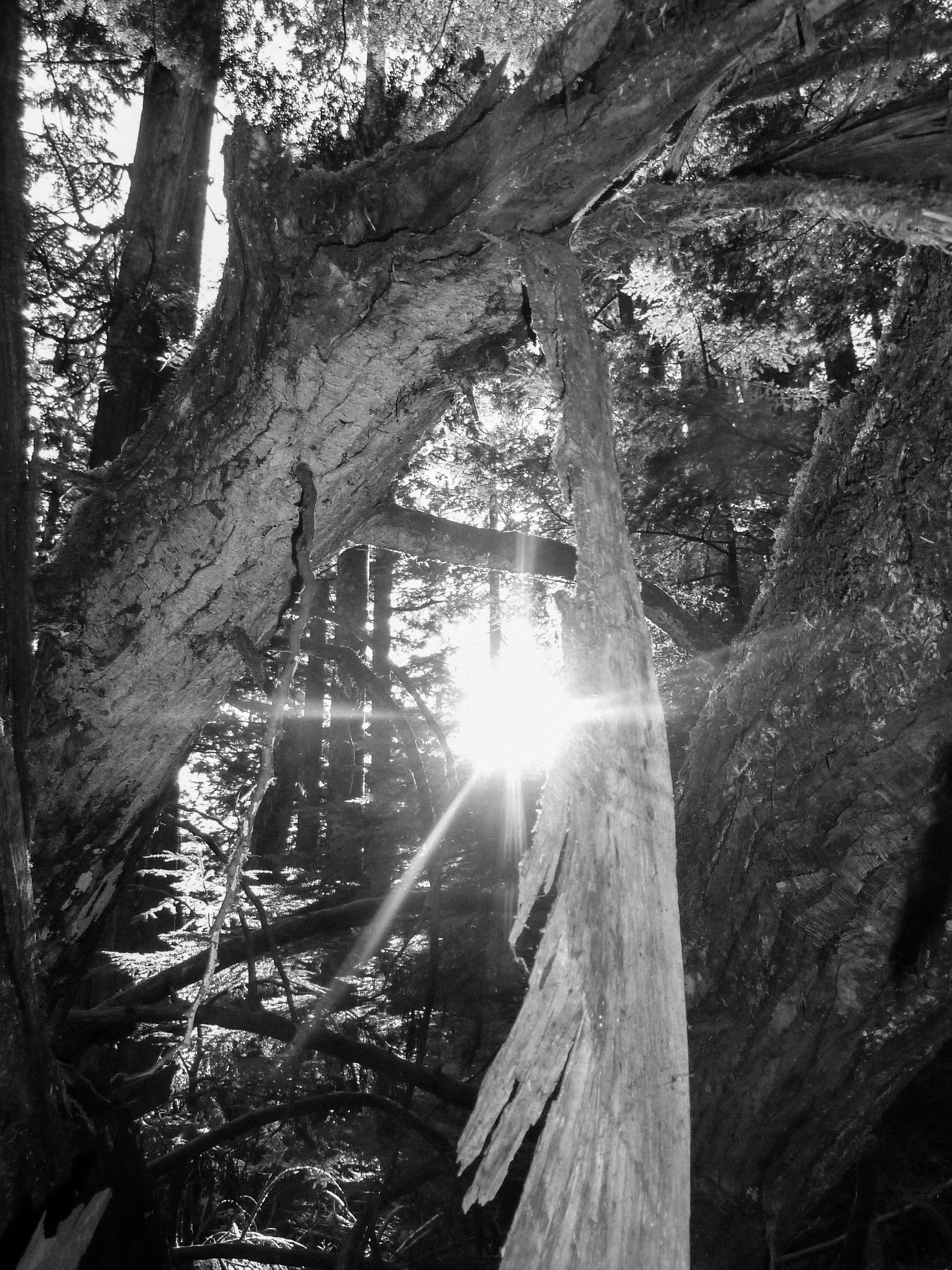 01-25 west vancouver