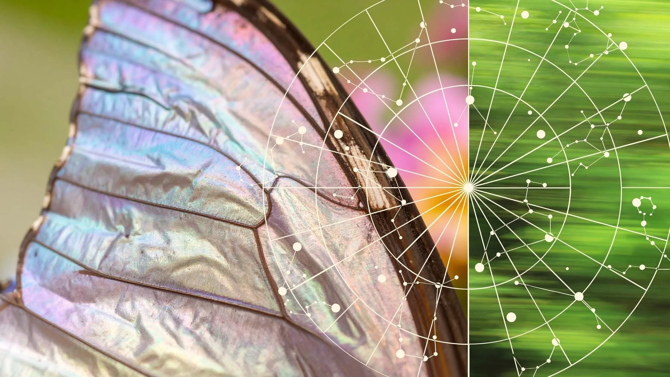 7 Signs You’re Entering a Major Life Transition According to Vedic Astrology