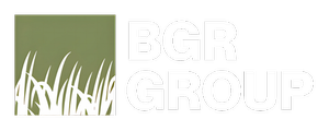 BGR Group