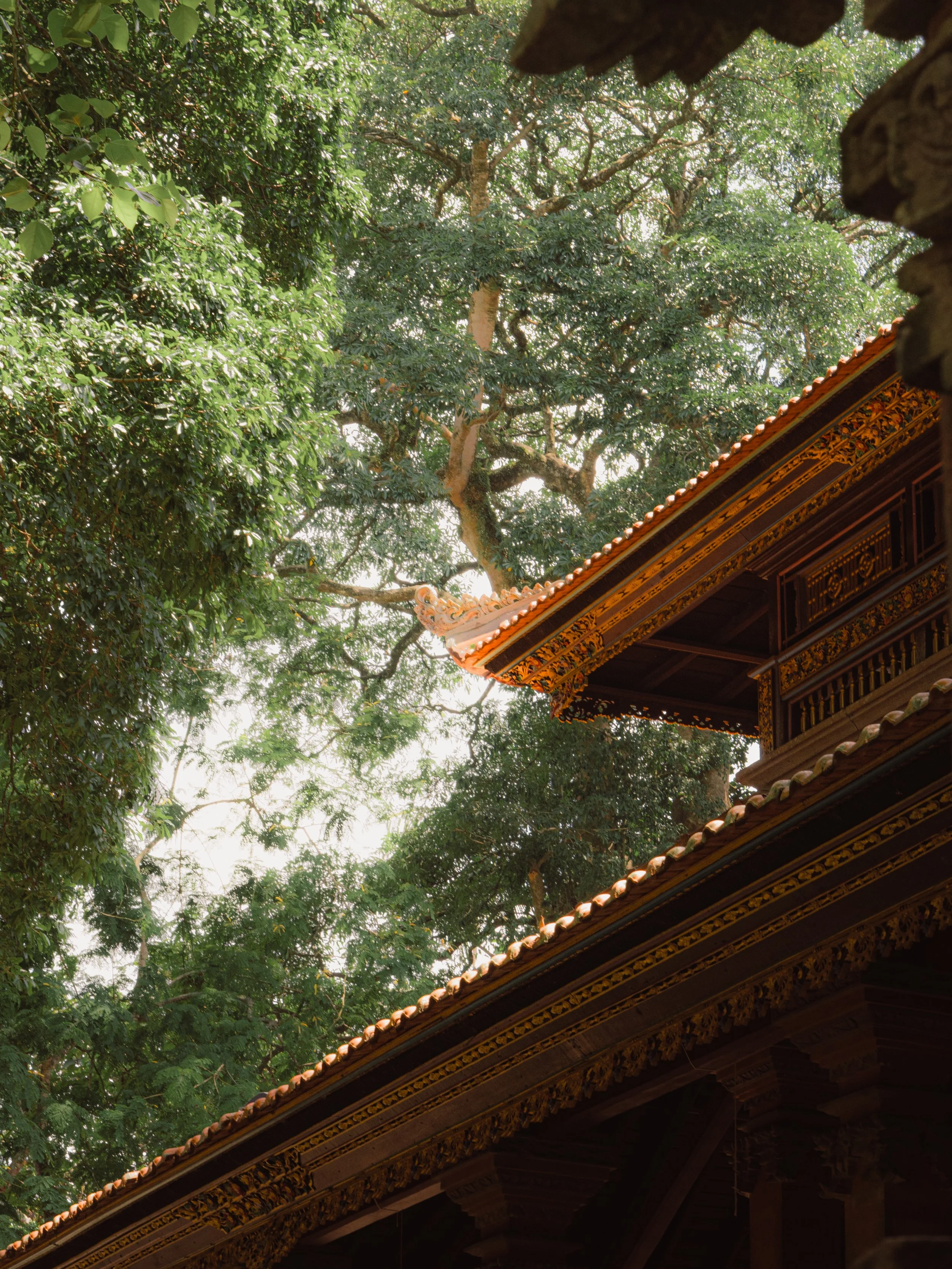 Un toit de temple traditionnel indonésien avec des ornements dorés, entouré d'arbres verts denses.