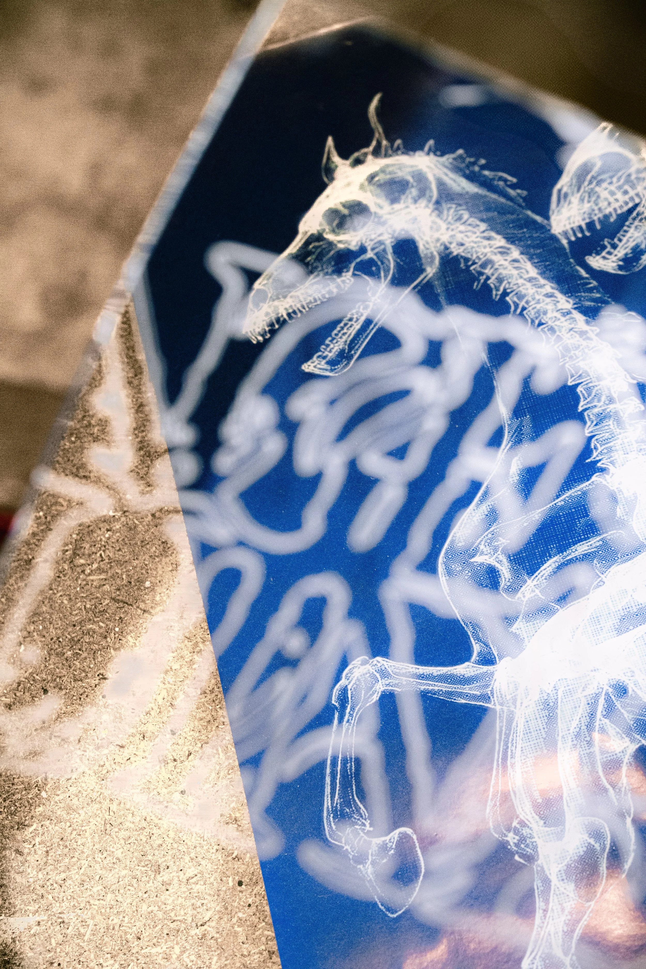 Photo prise d'un miroir reflétant l'illustration d'un squelette de cheval en style holographique blanc sur fond bleu.