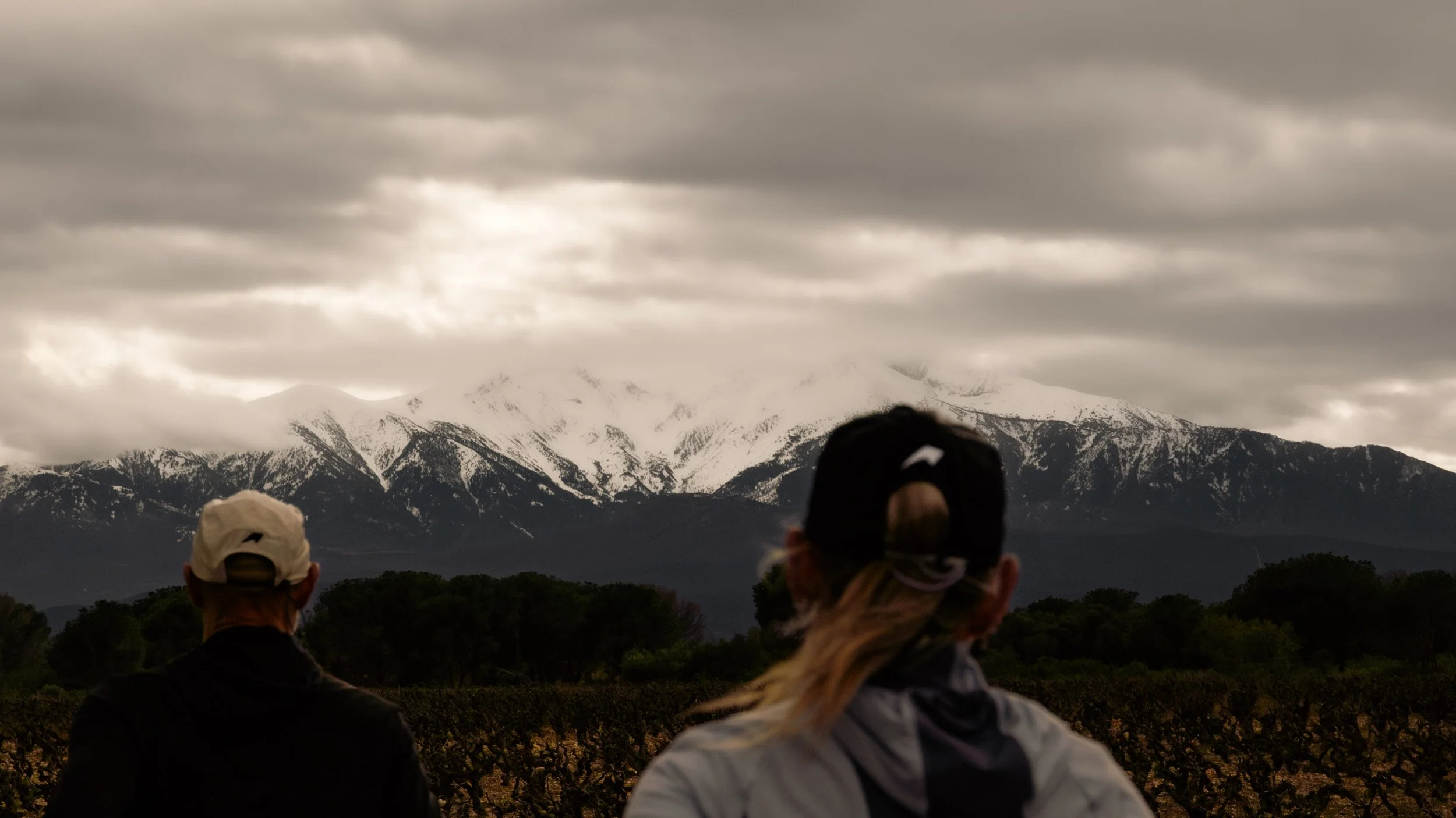 Deux personnes regardant un paysage de montagnes enneigées sous un ciel nuageux, avec des vignes en premier plan.