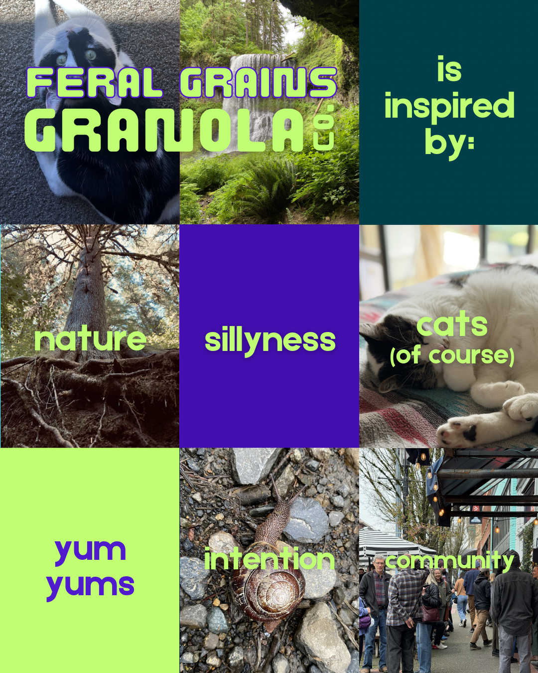 A collage of images with text overlay promoting a product. The collage includes a black and white cat, a forest scene with a waterfall, a large tree with roots, a cat lying on a bed, a gecko on rocks, and a group of people on a city sidewalk. Text reads: "Feral grains granola co. is inspired by: nature, sillyness, cats (of course), yum yums, intention, community."
