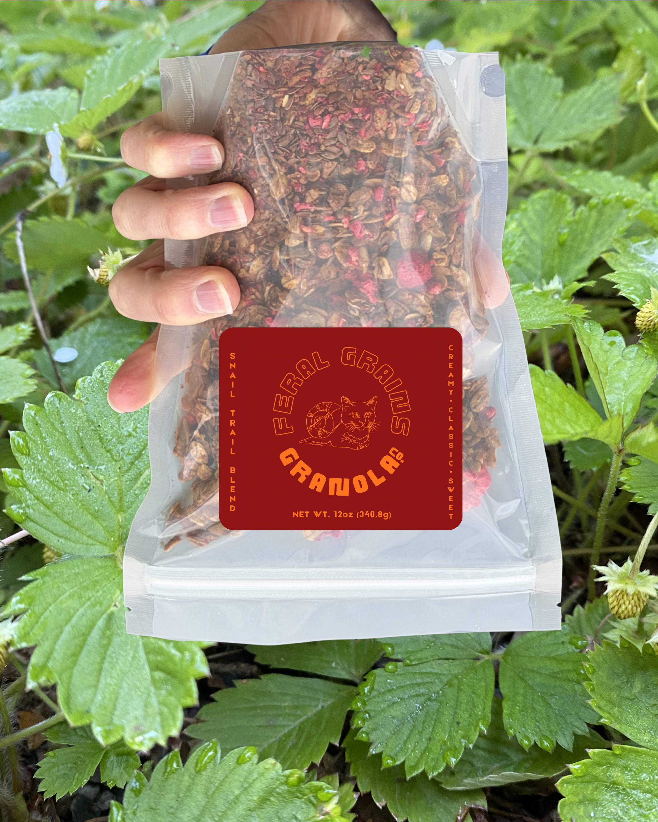SNAIL TRAIL BLEND