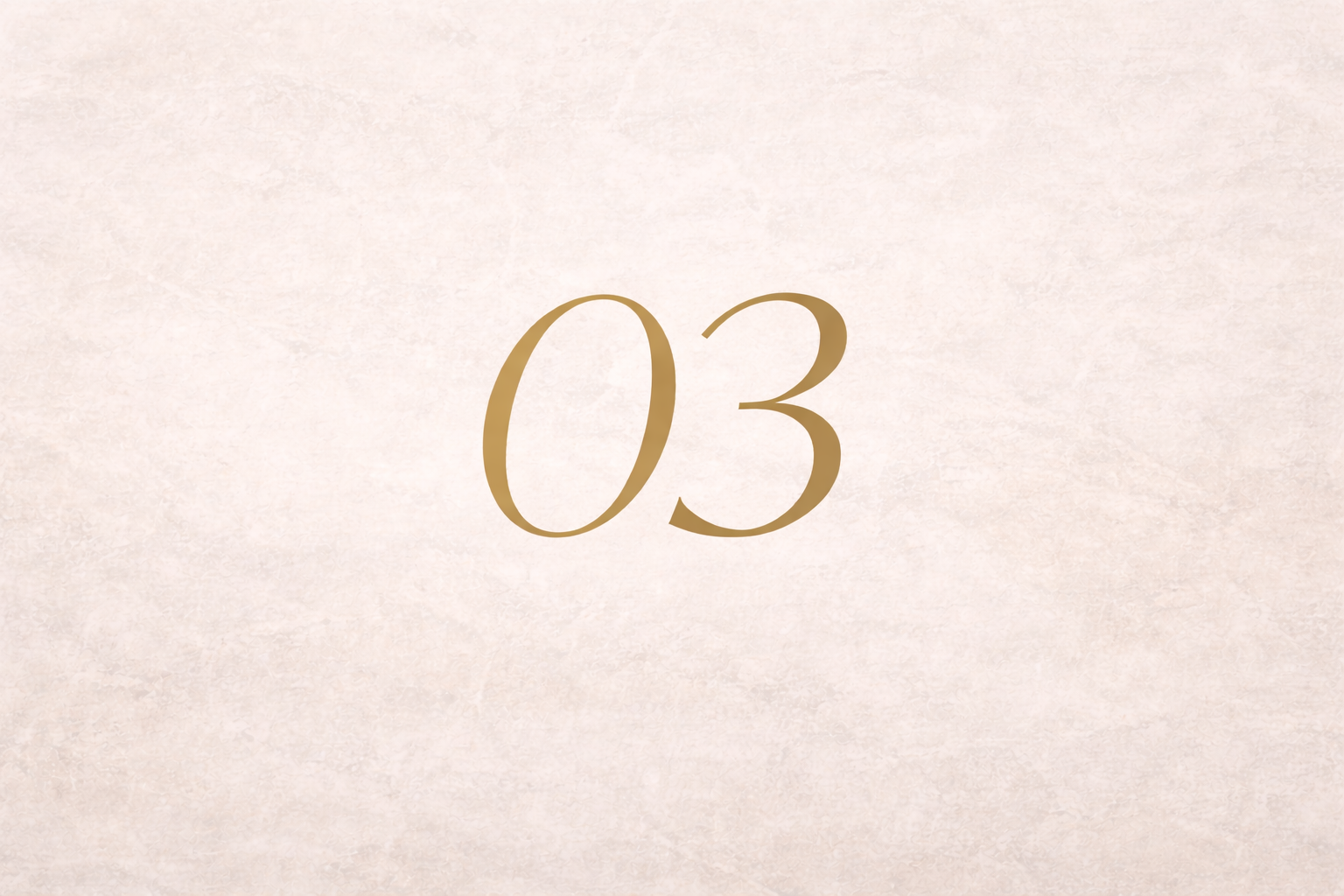 Number 03 in a gold font on a light beige background.