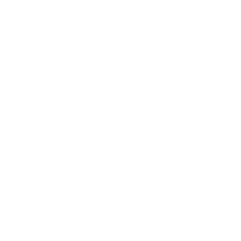 aya-partner-logo.png