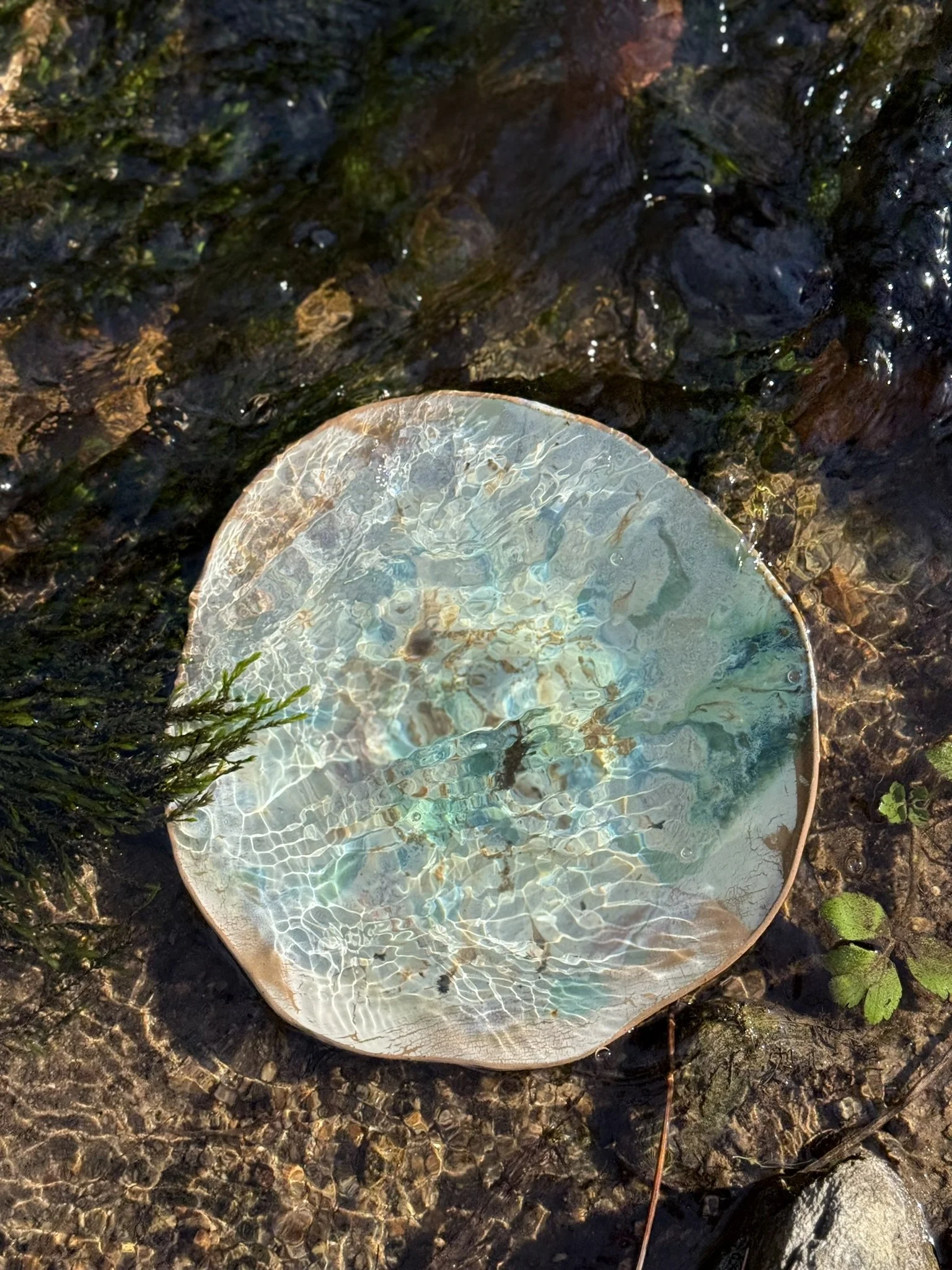 Shop Episode 1 Ceramics