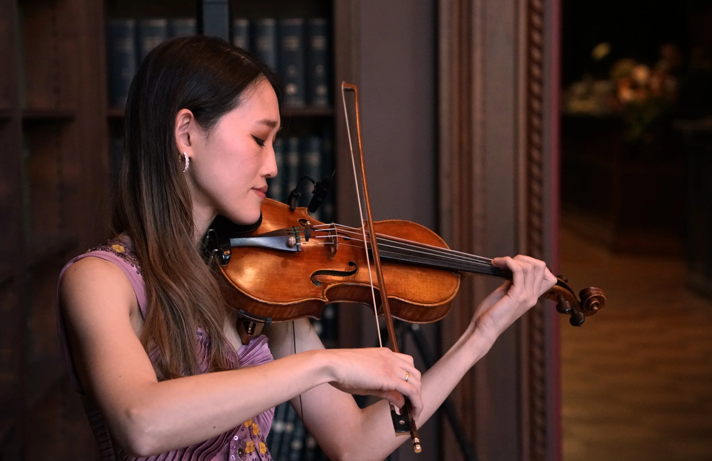 Side view violin.JPEG