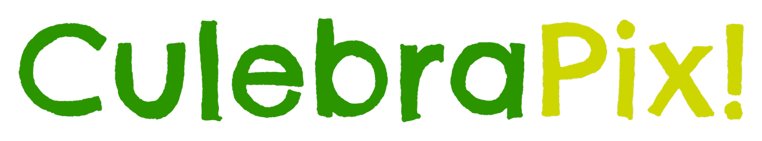 Your Site Title