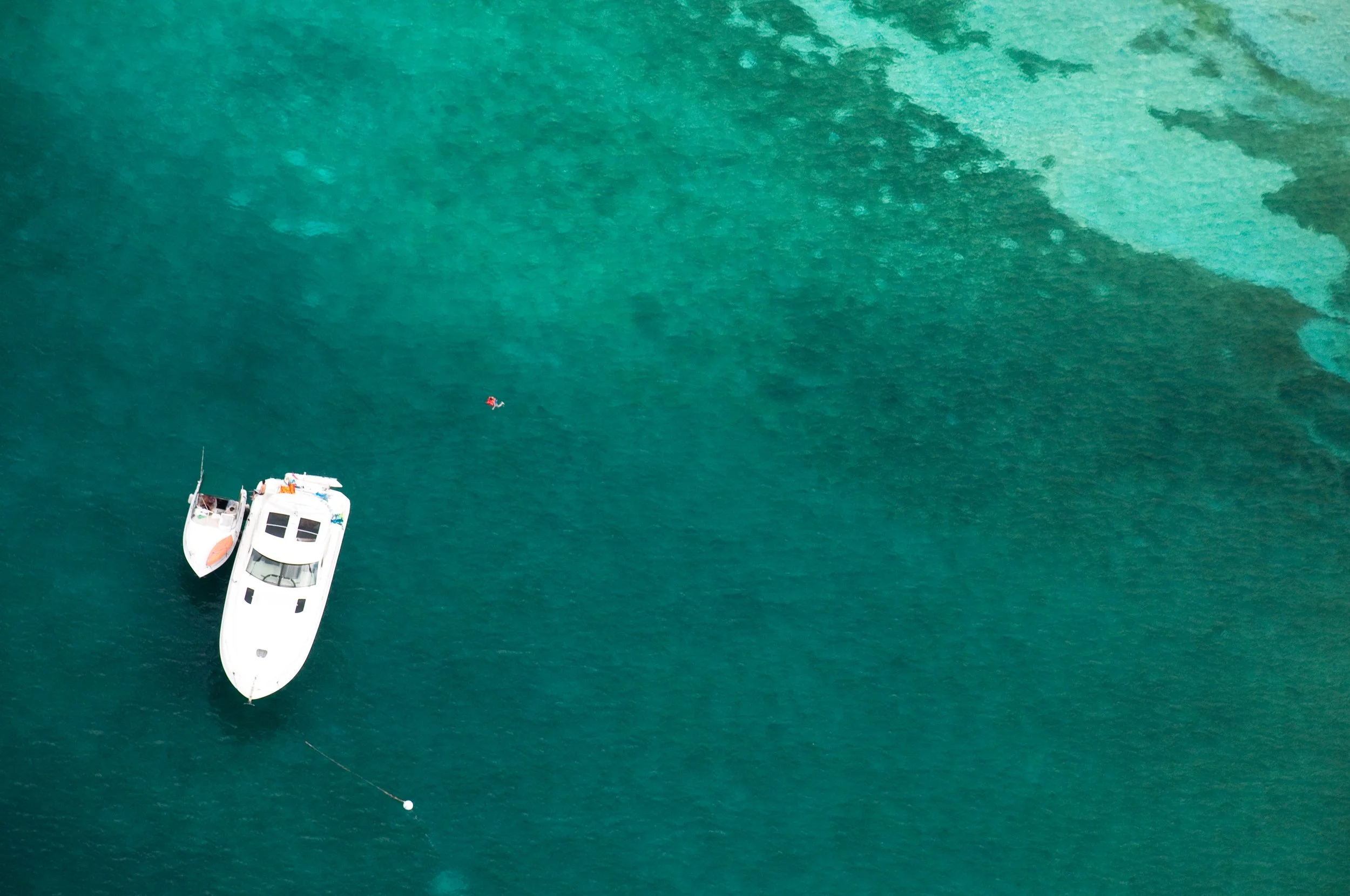 Taking a swim from the boat