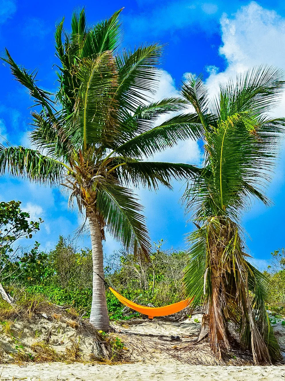 Flamenco hammock