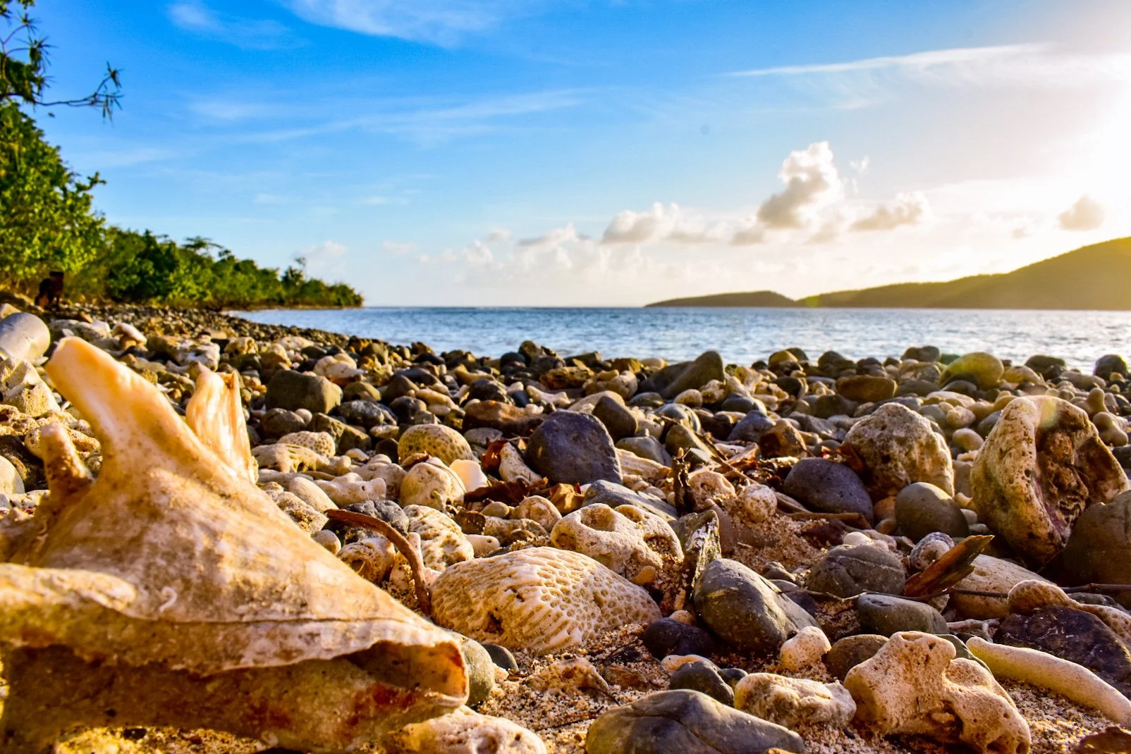 The shells of Playa Tamarindo