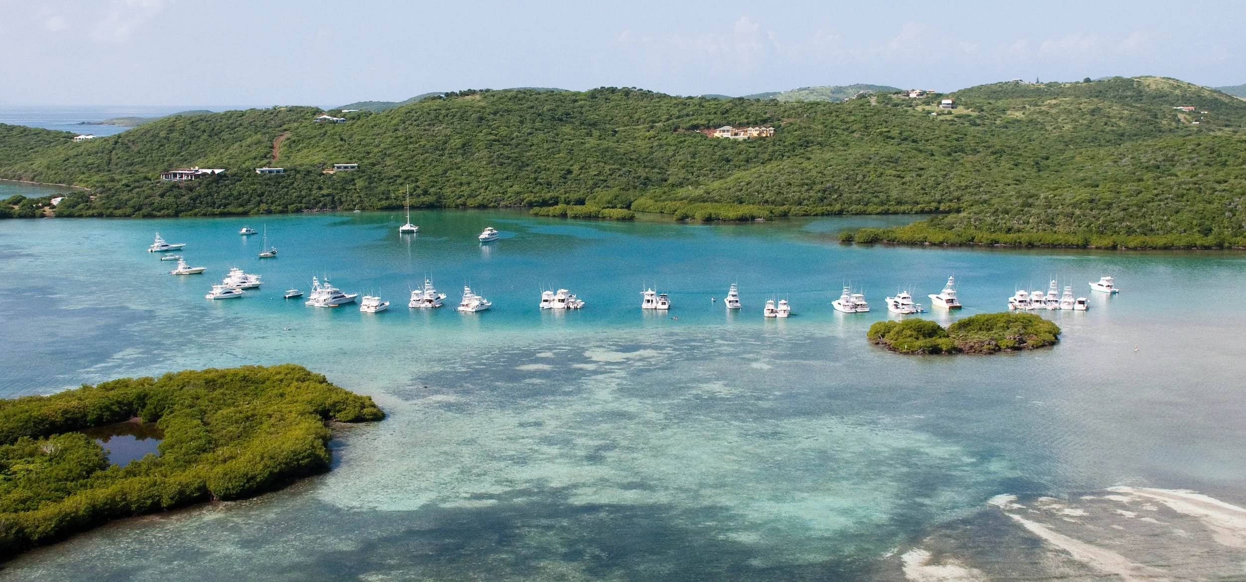 Manglar Bay