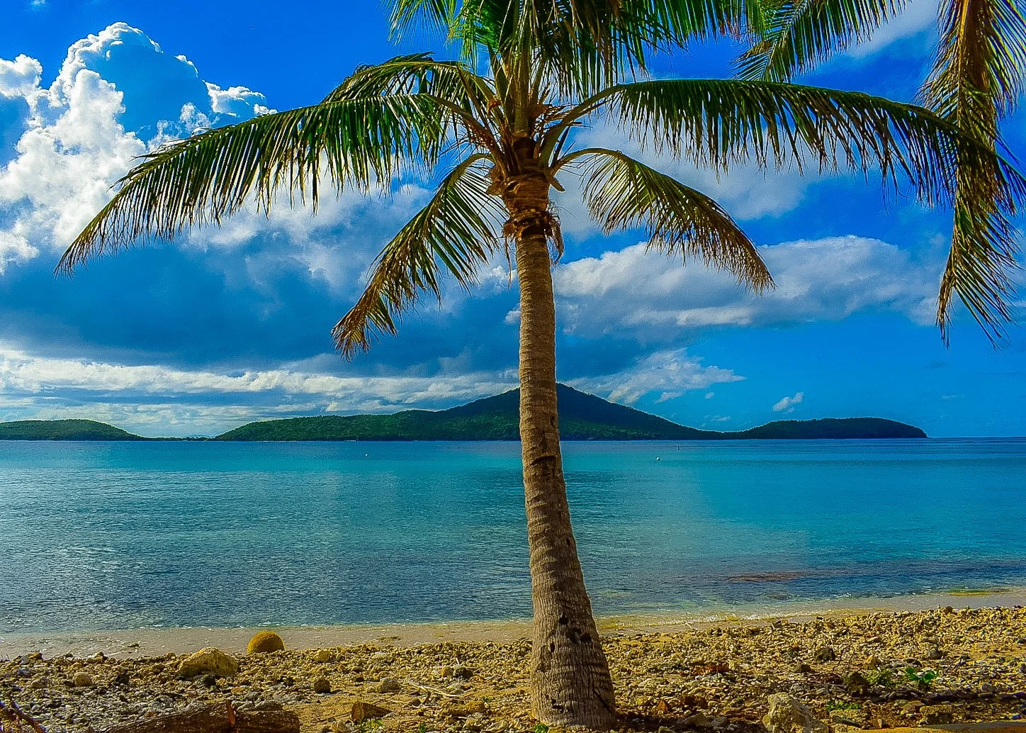 Cayo Luis Pena from Playa Melones