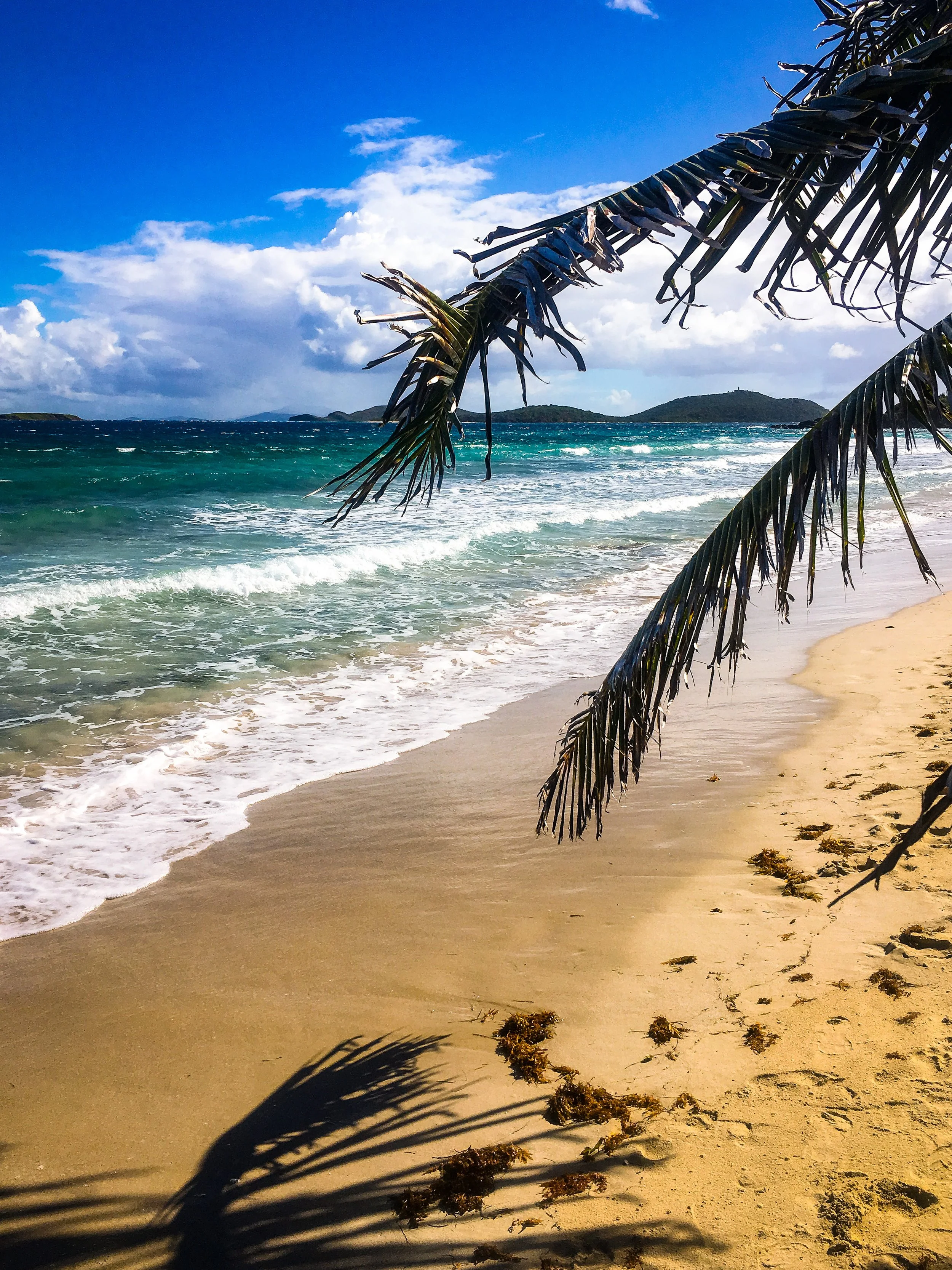Culebrita from Zoni