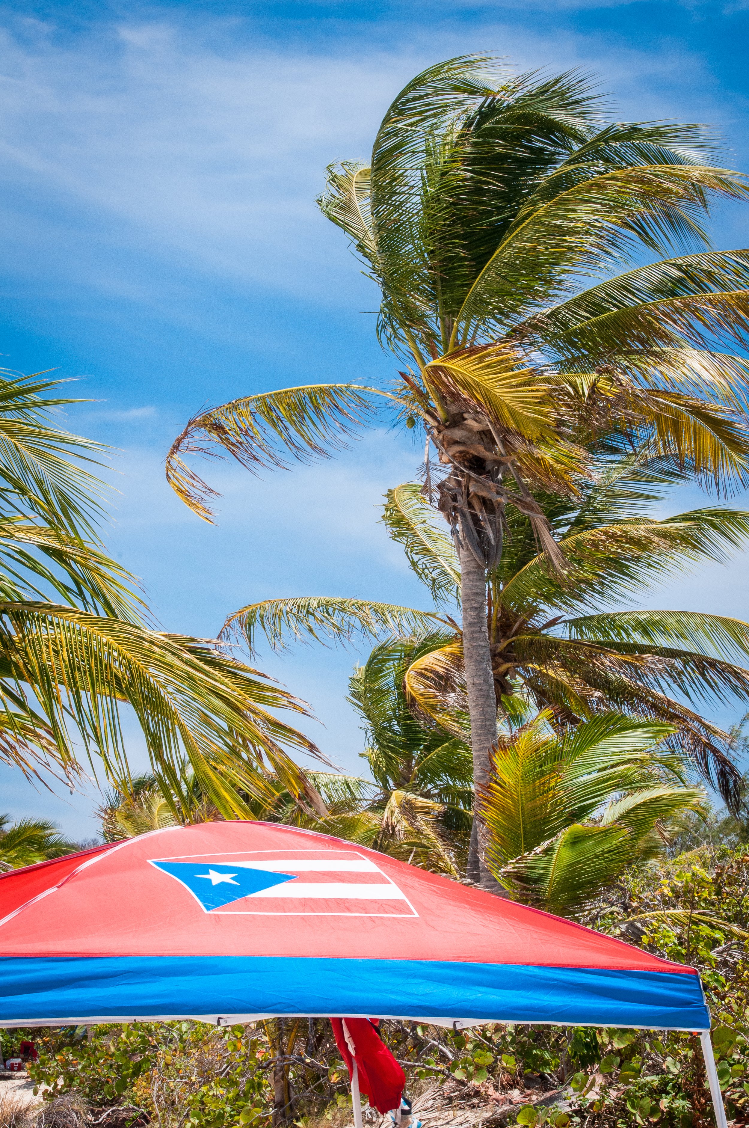 Playa Flamenco