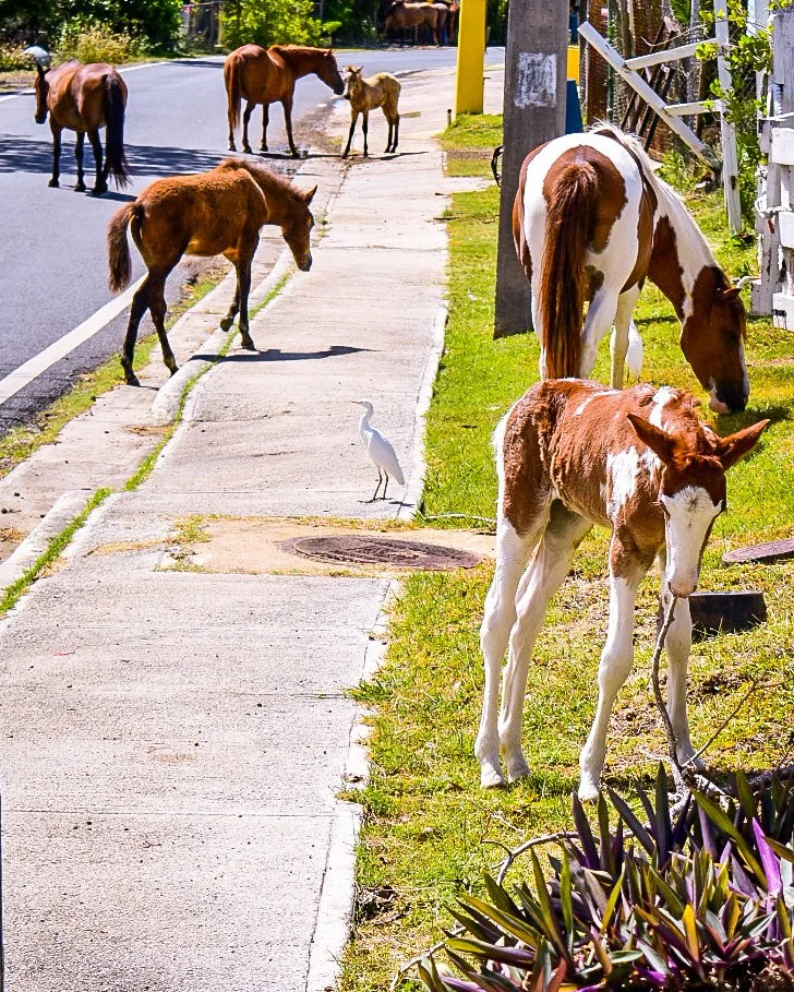 Sidewalk traffic