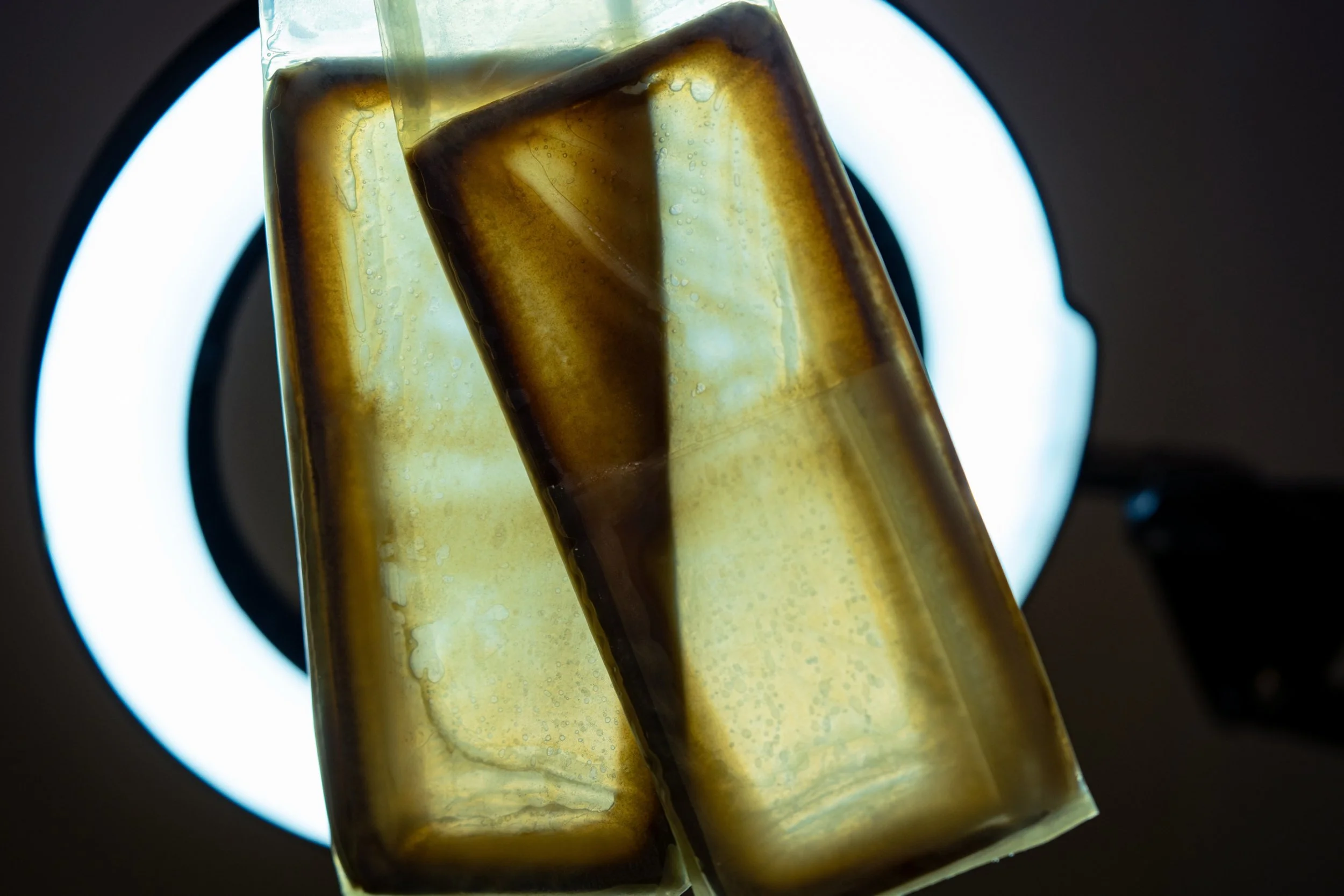 JPEG image-492D-8661-20-1.jpeg