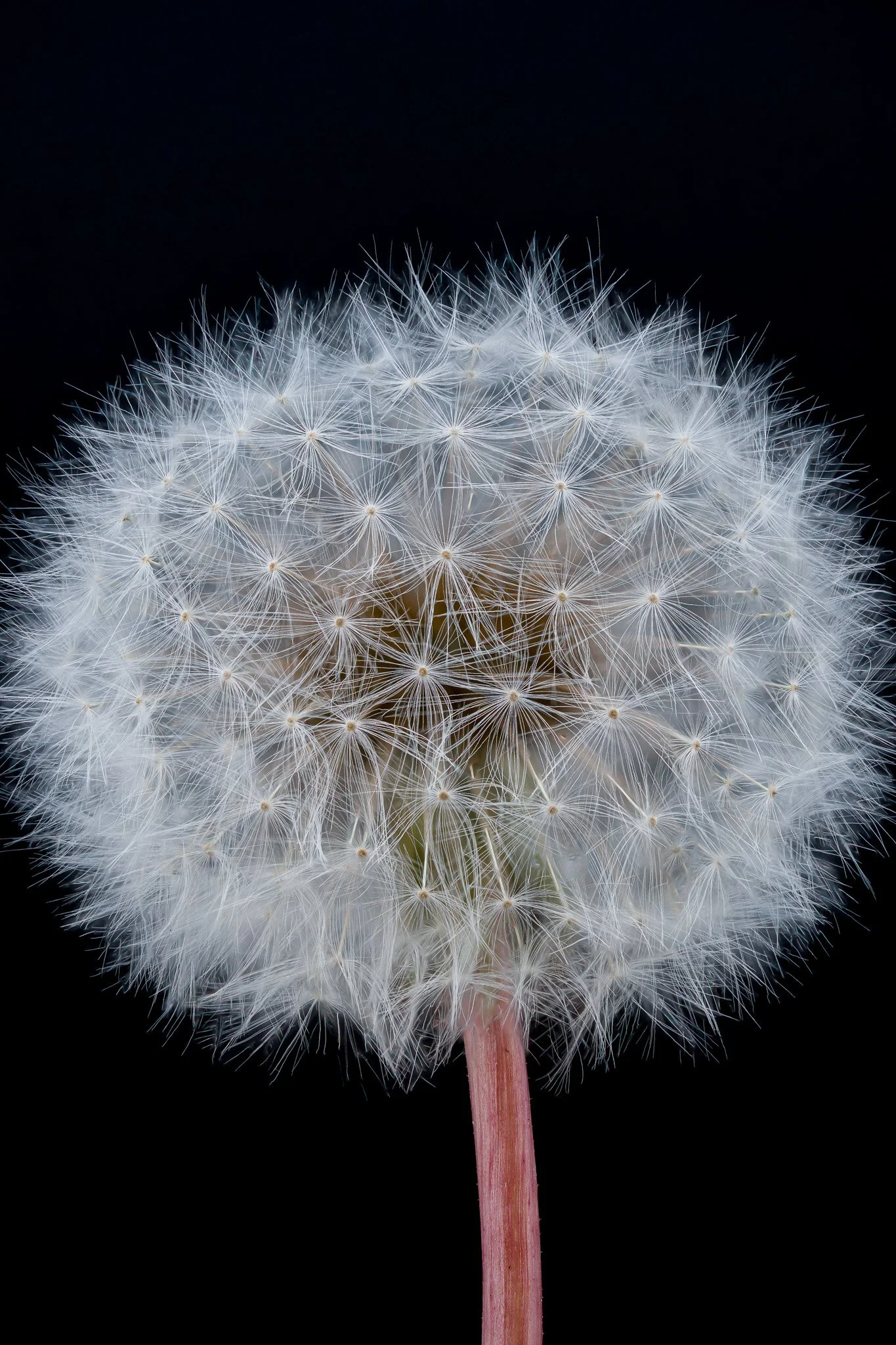 2025-05-09 23-50-48 (B,R8,S4).jpg