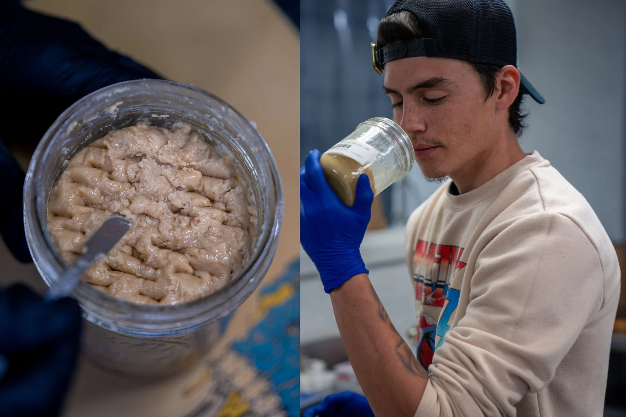 JPEG image-492D-8661-20-3.jpeg