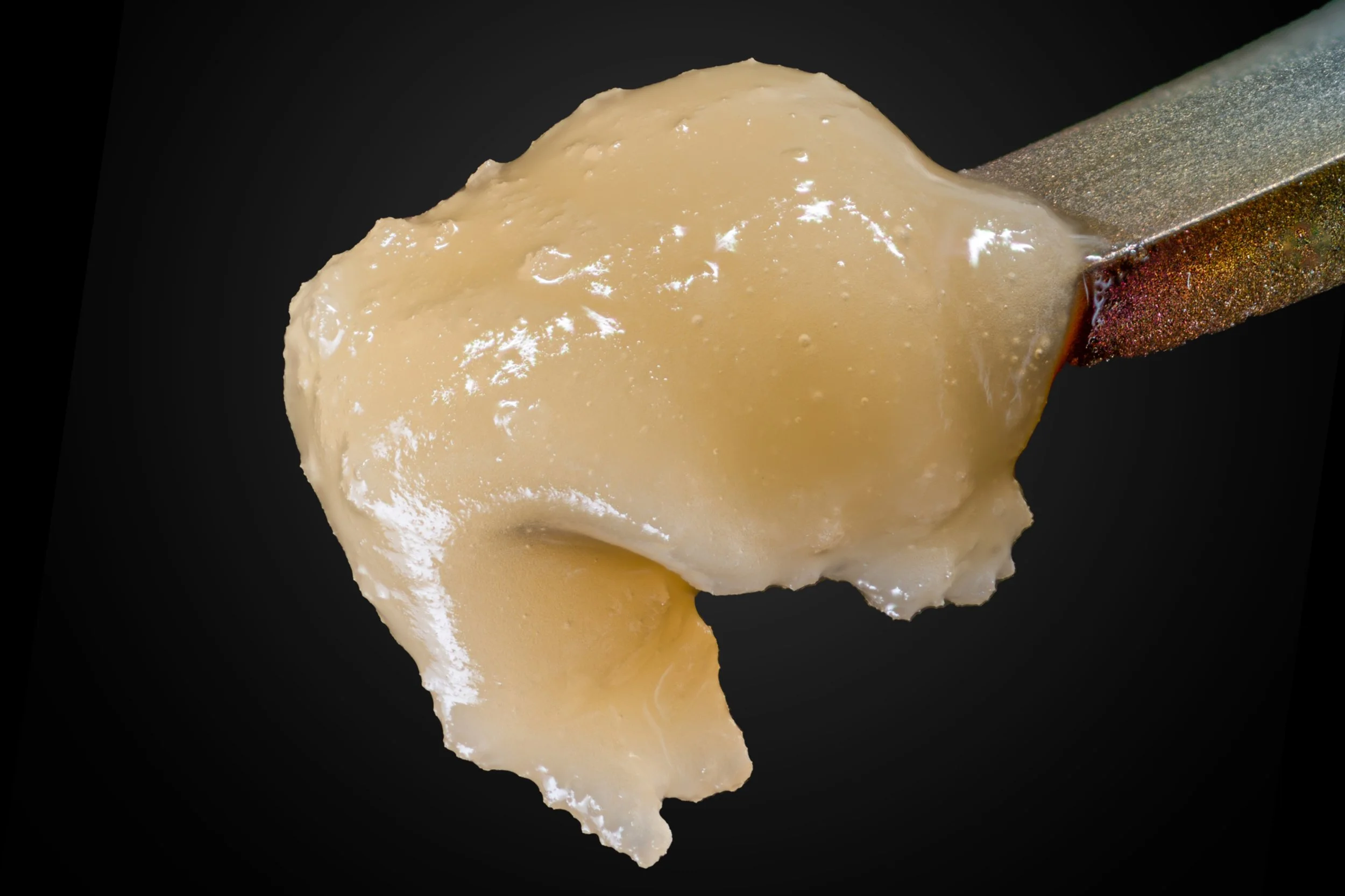 JPEG image-492D-8661-20-5.jpeg