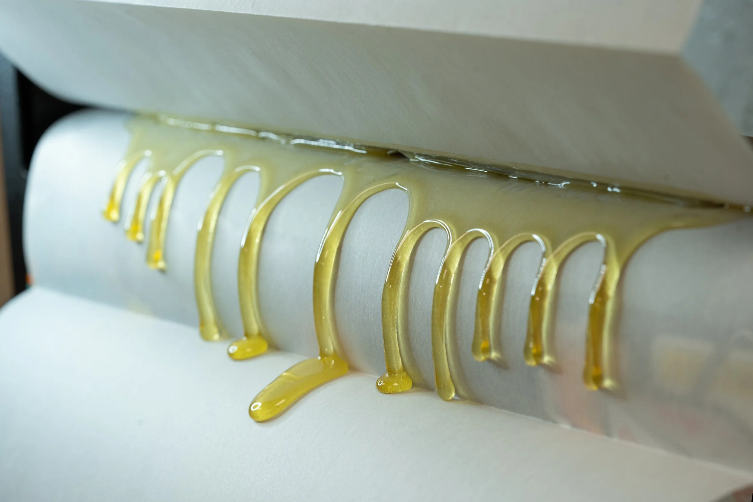 JPEG image-492D-8661-20-4.jpeg