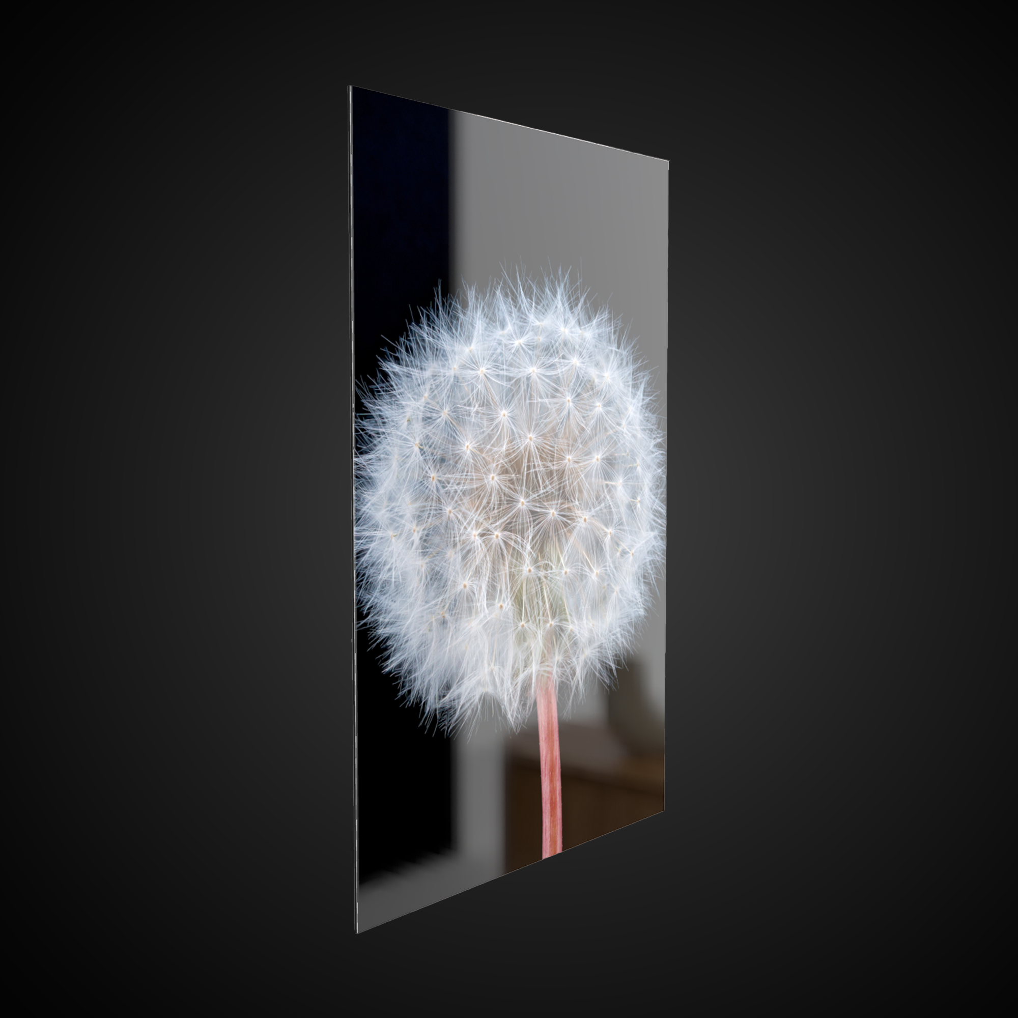 Under Acrylic Glass