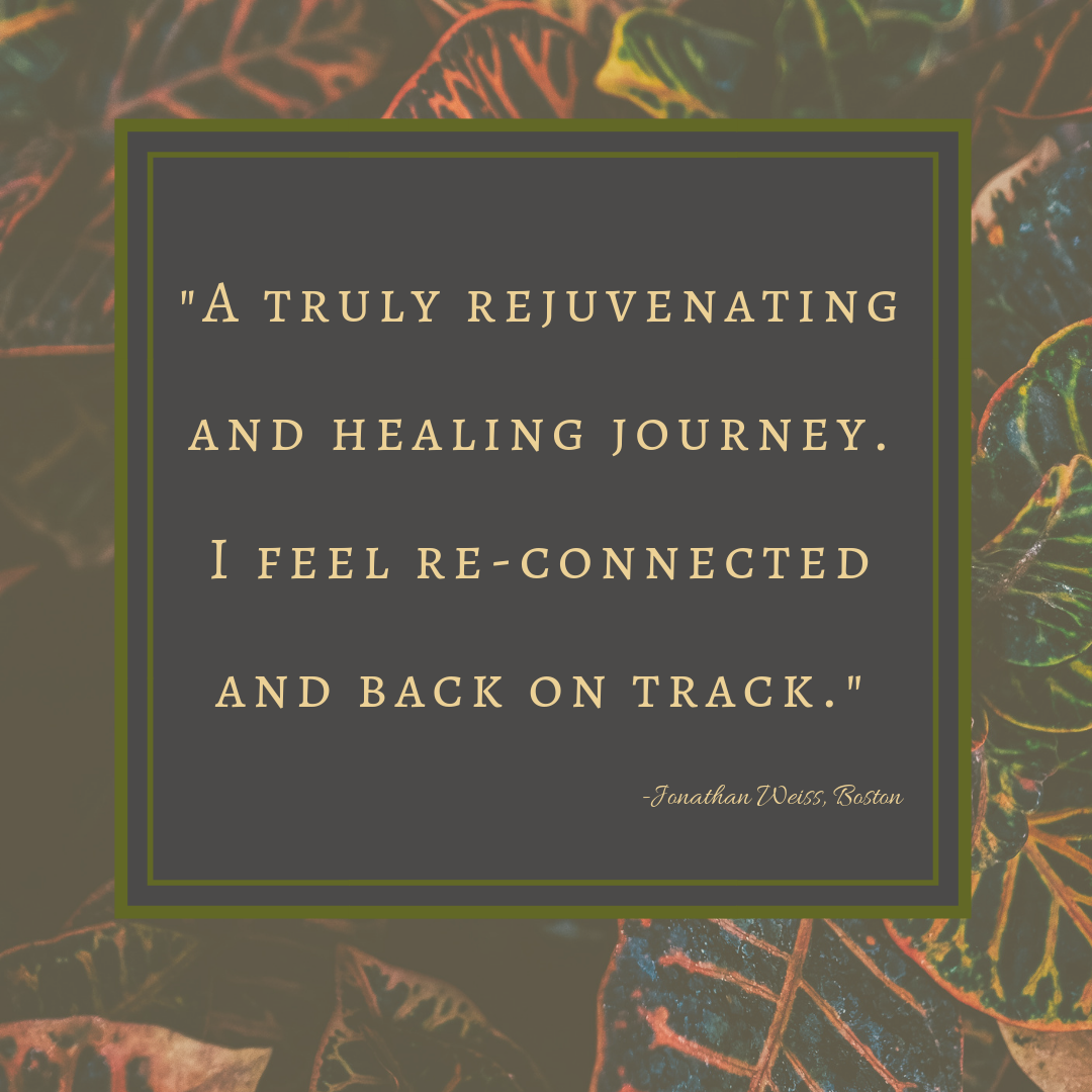 Panchakarma Testimonial (3).png