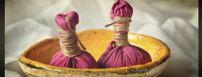GIAM spa header (1).png