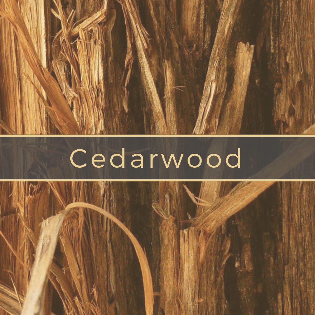 Cedarwood Gerson Institute of Ayurvedic Medicine.png