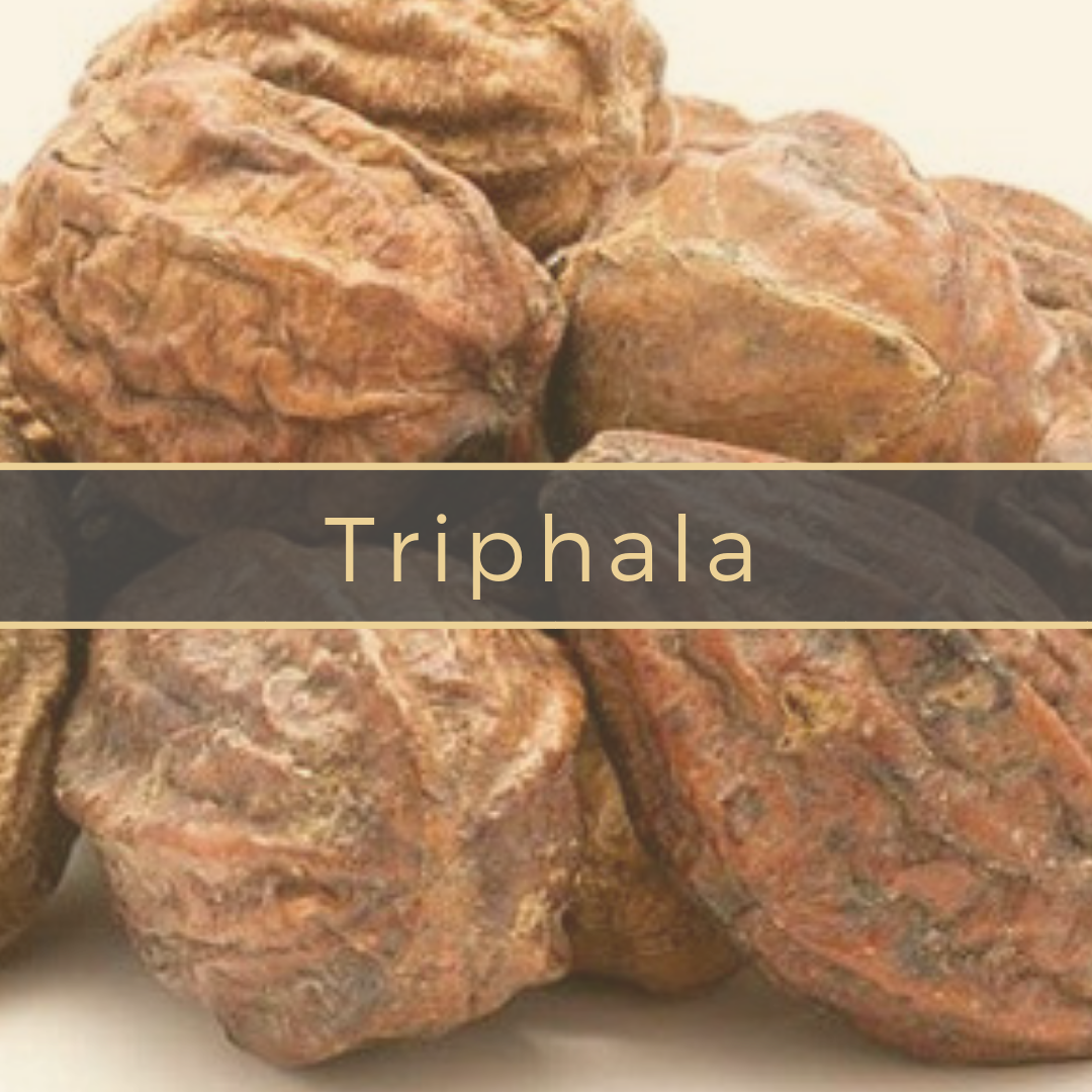 triphala Gerson Institute of Ayurvedic Medicine.png