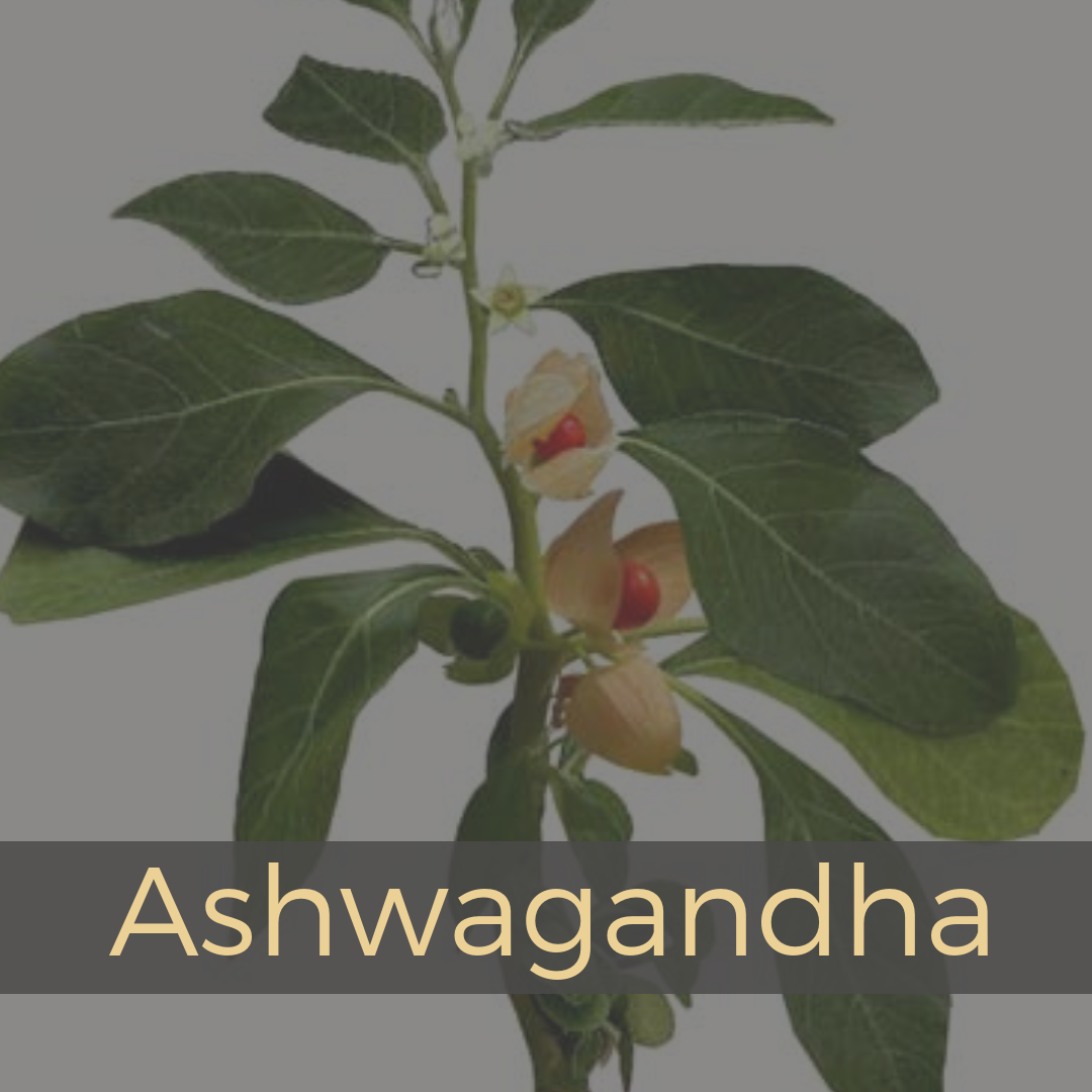 Ashawaganda.png