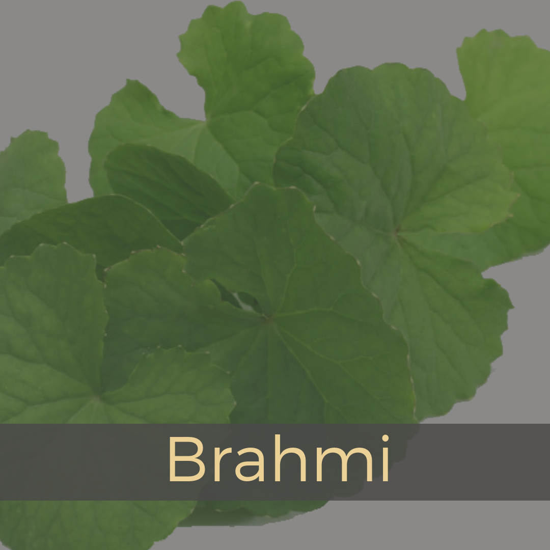 Brahmi.png