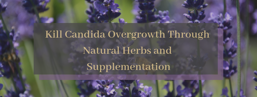 Candida Herbs and Supplements.png